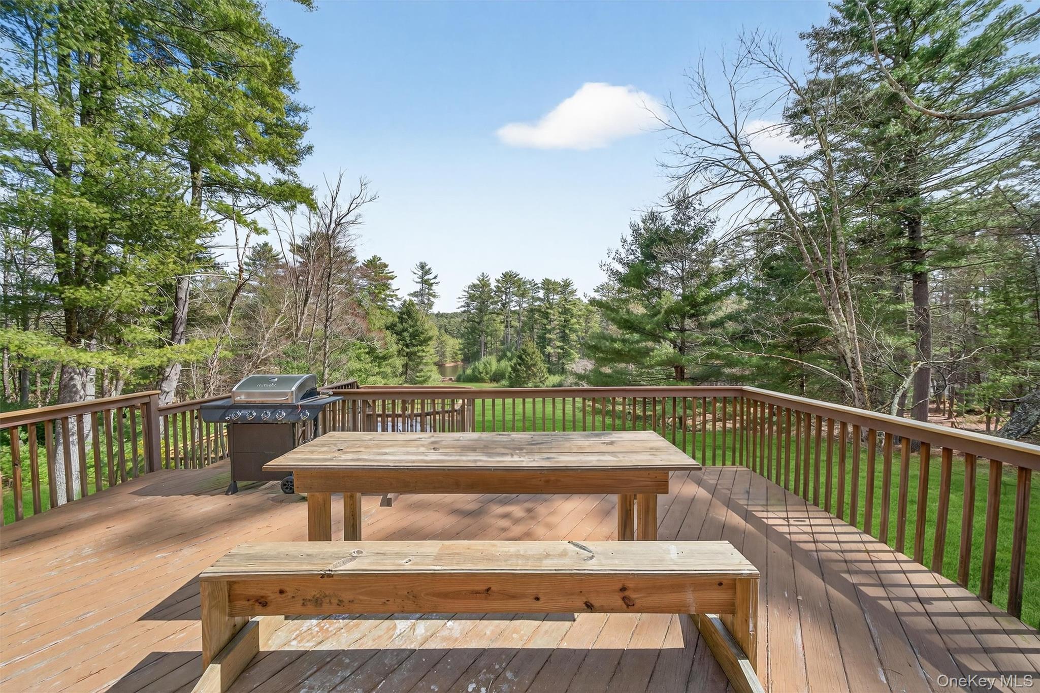 Single Family Beaver Brook  Sullivan County, NY 12764, MLS-958290-41