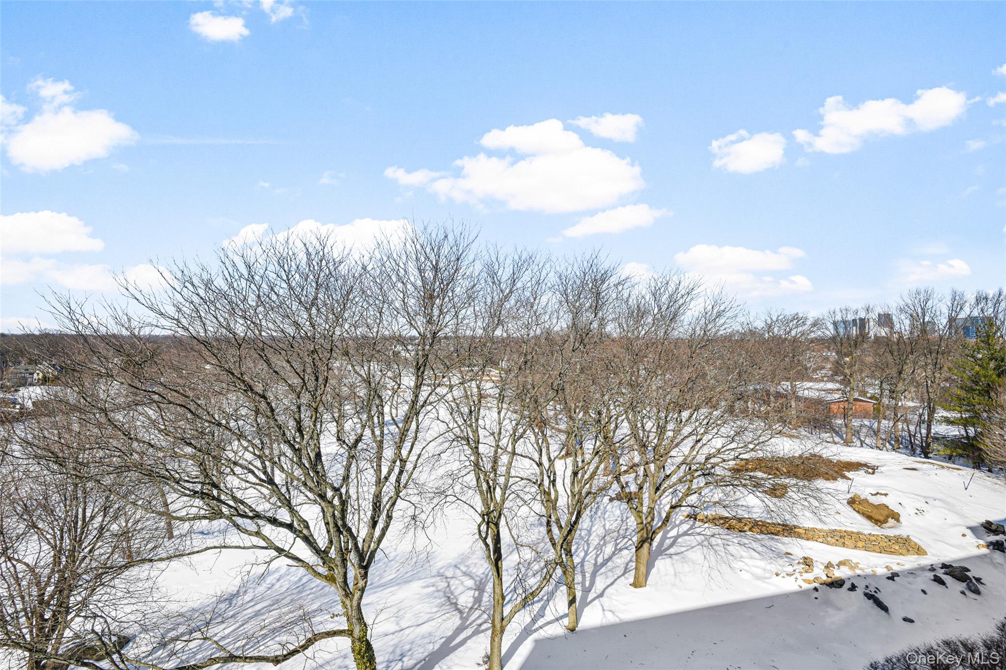 Condo Pelham Westchester County, NY 10805, MLS-958313-18