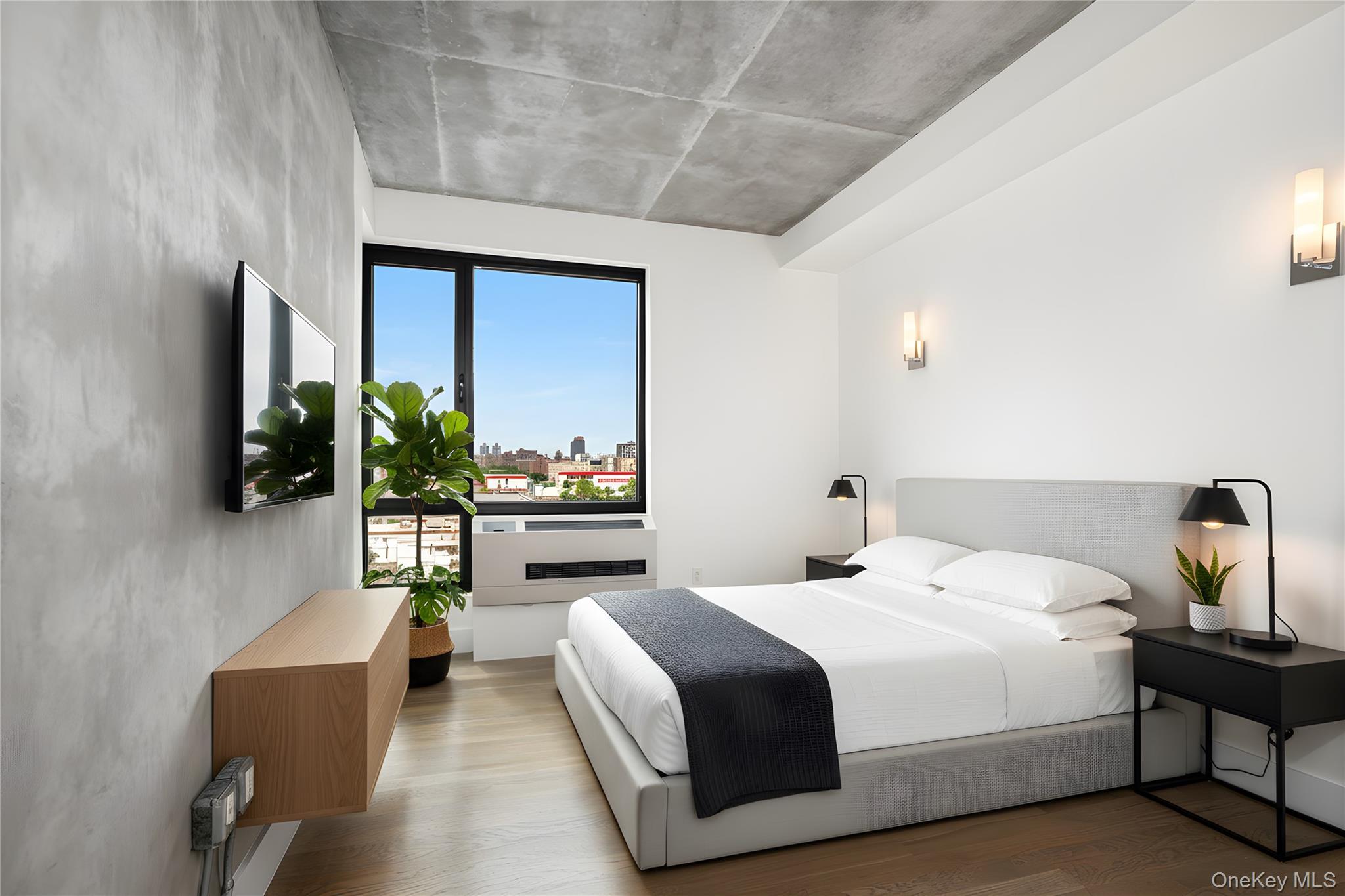 Condo 138th  Bronx, NY 10451, MLS-958407-4