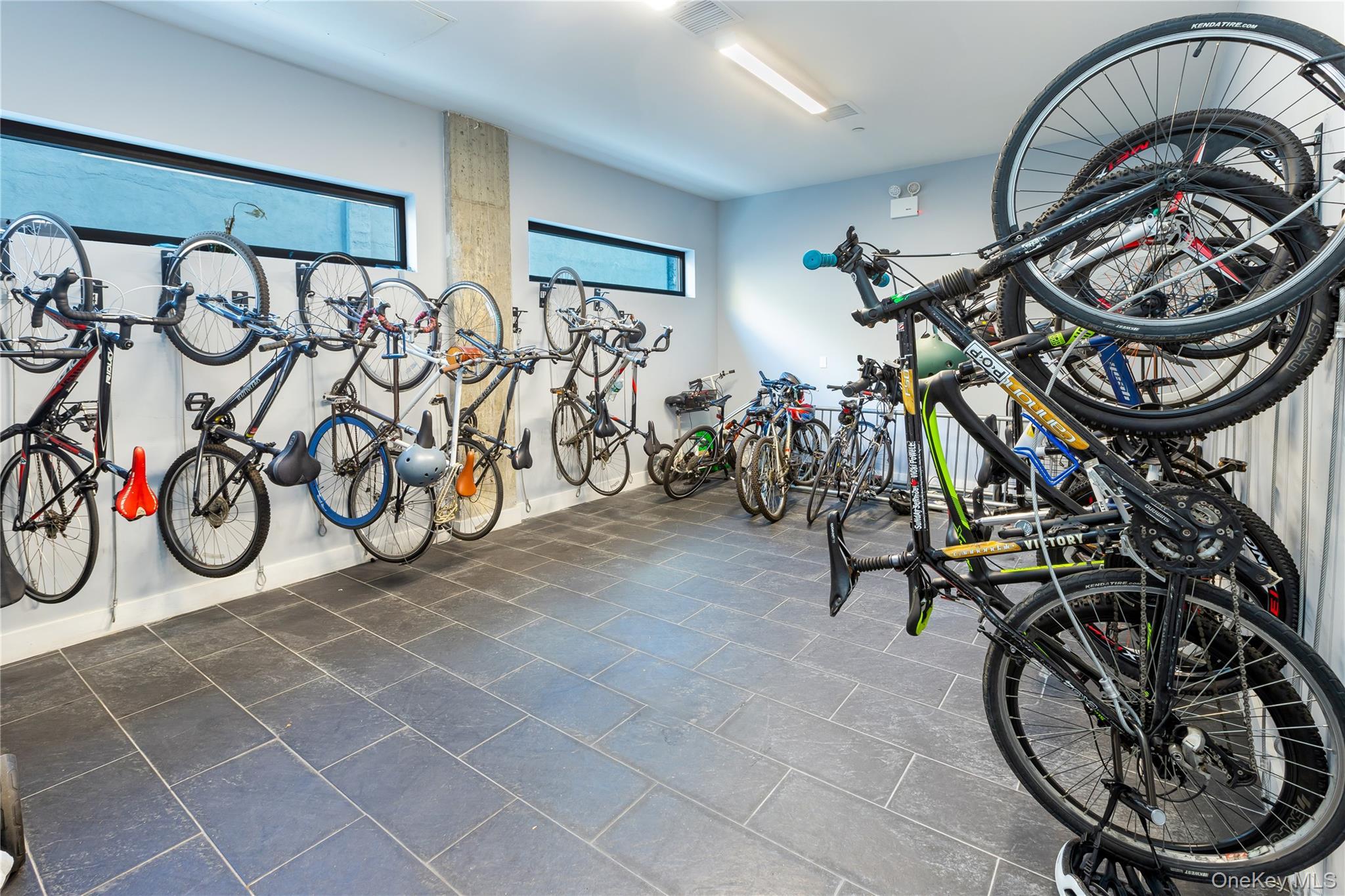 Condo 138th  Bronx, NY 10451, MLS-958407-8