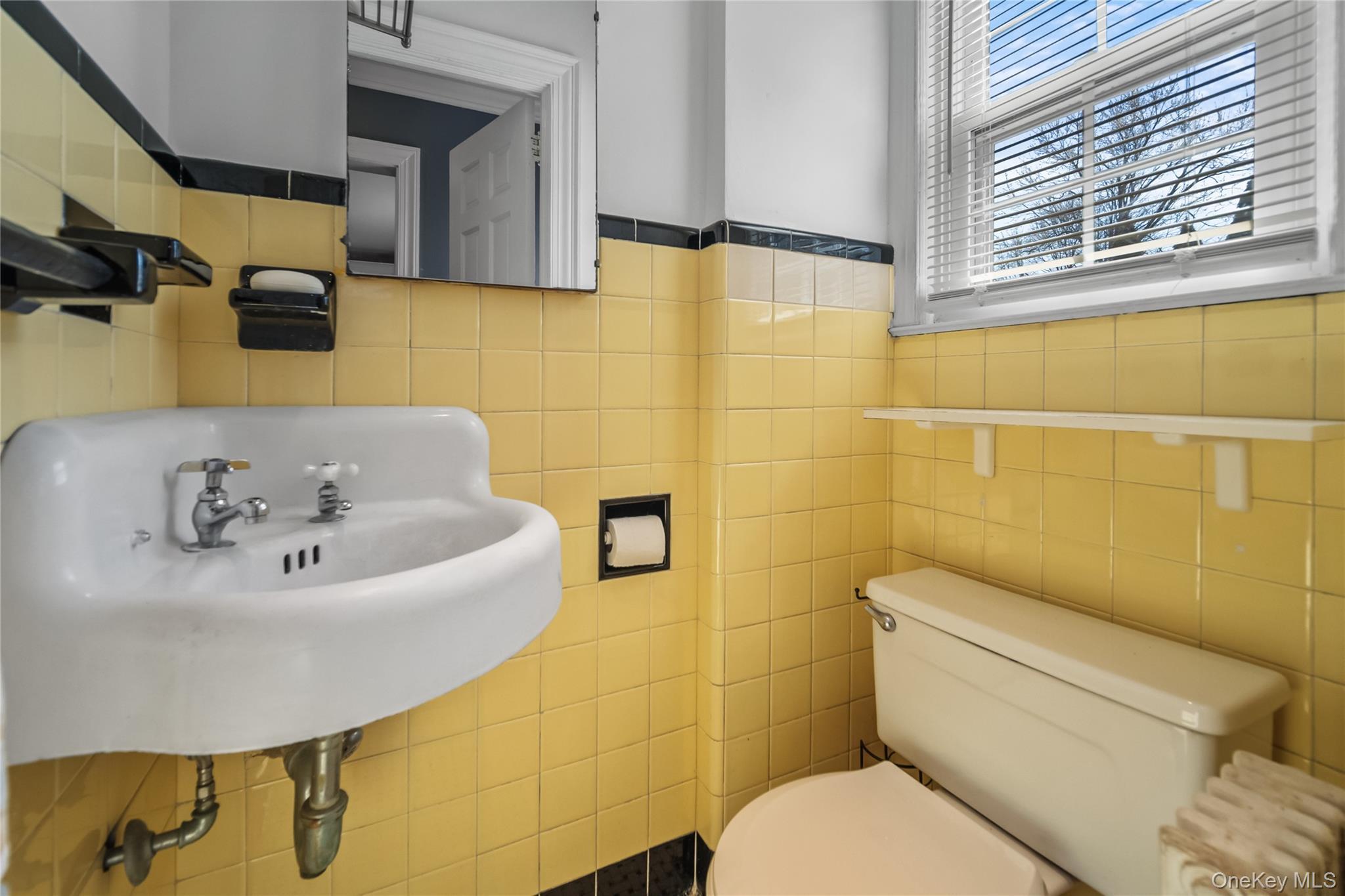 Single Family Jane  Westchester County, NY 10530, MLS-958423-17