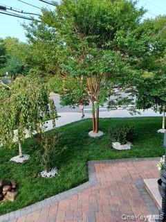 Single Family Kew Gardens  Queens, NY 11415, MLS-958439-6