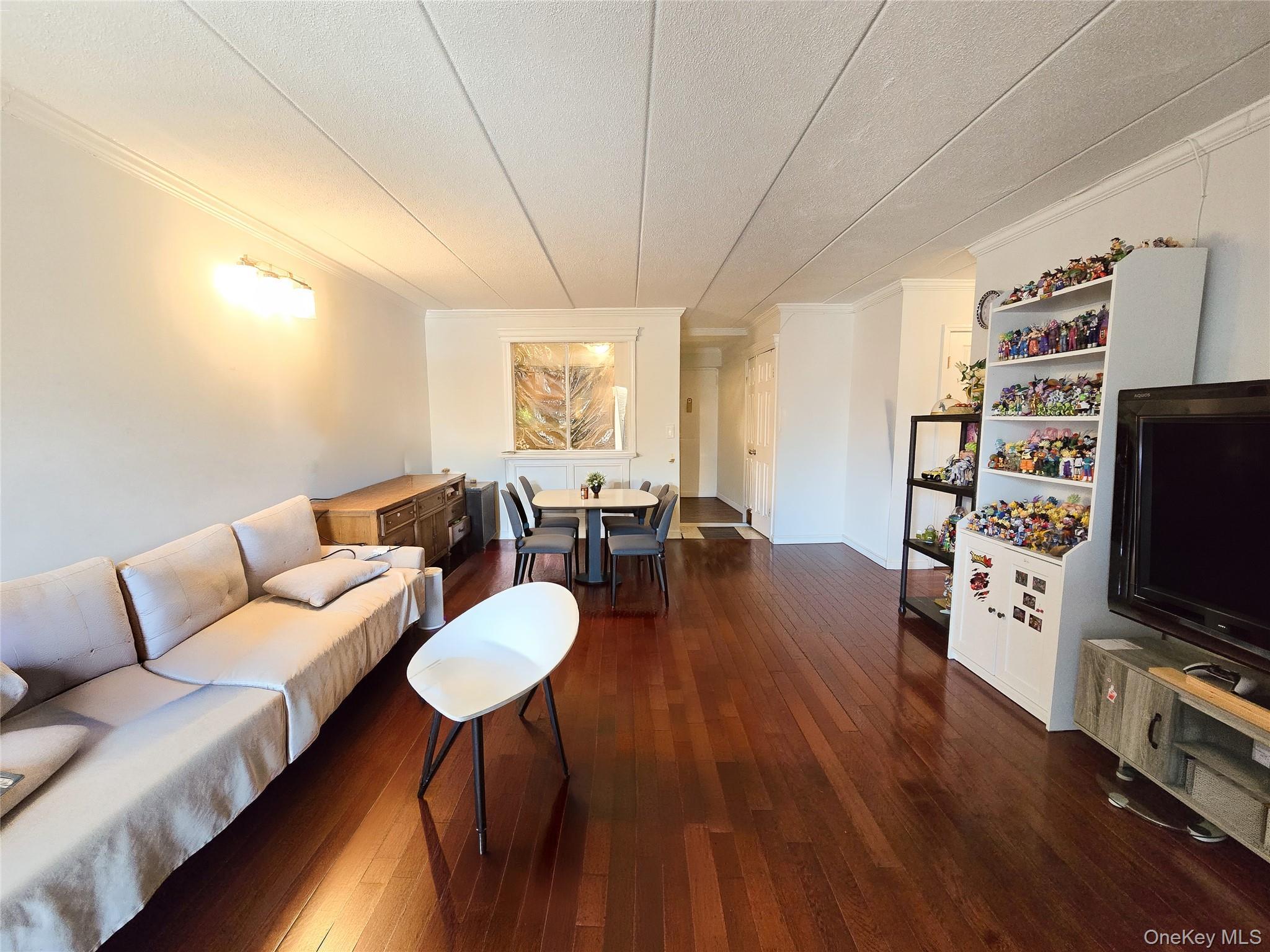 Condo 147th  Queens, NY 11354, MLS-958582-9