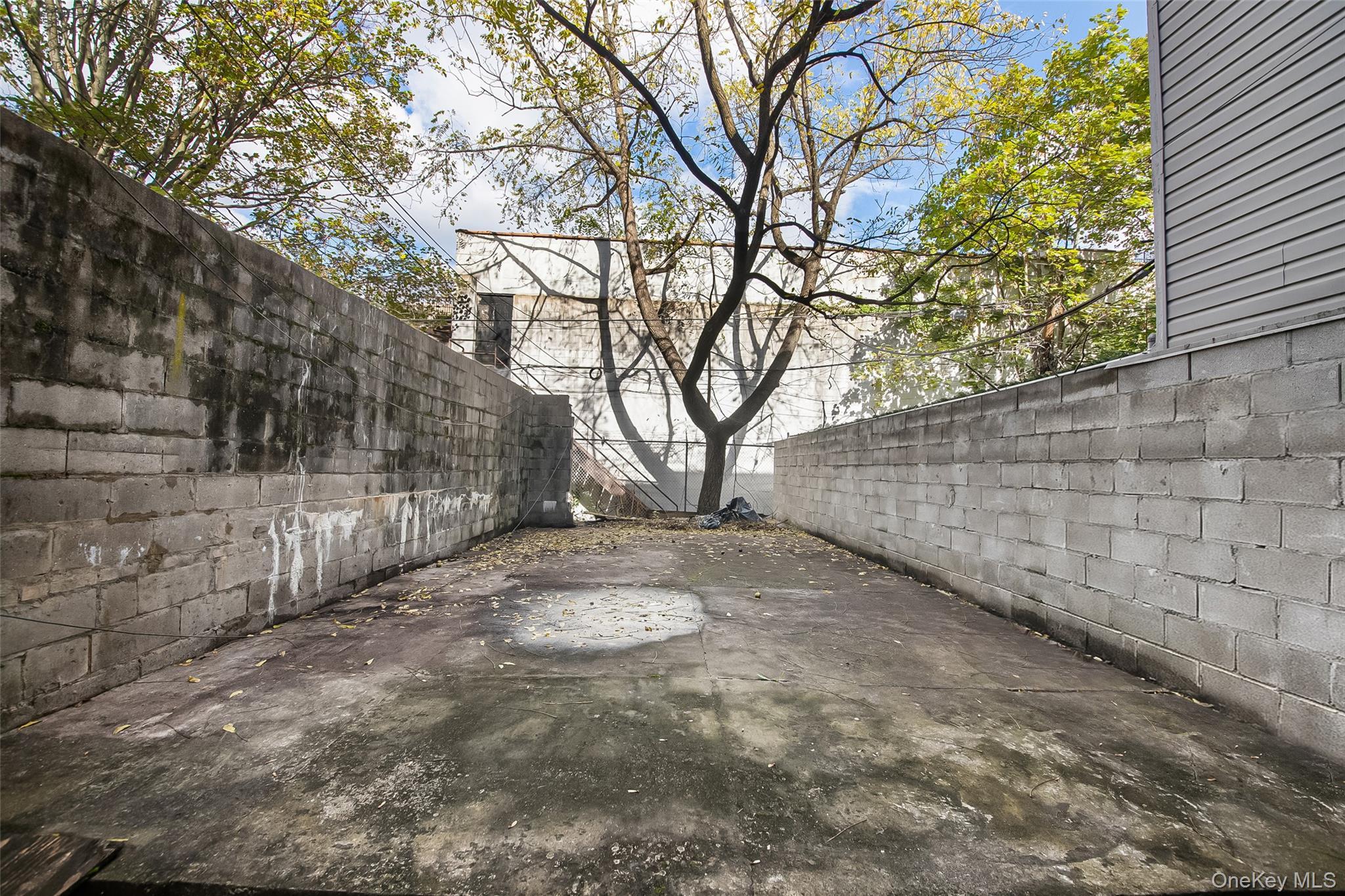 Commercial Sale Herkimer  Brooklyn, NY 11216, MLS-958622-11