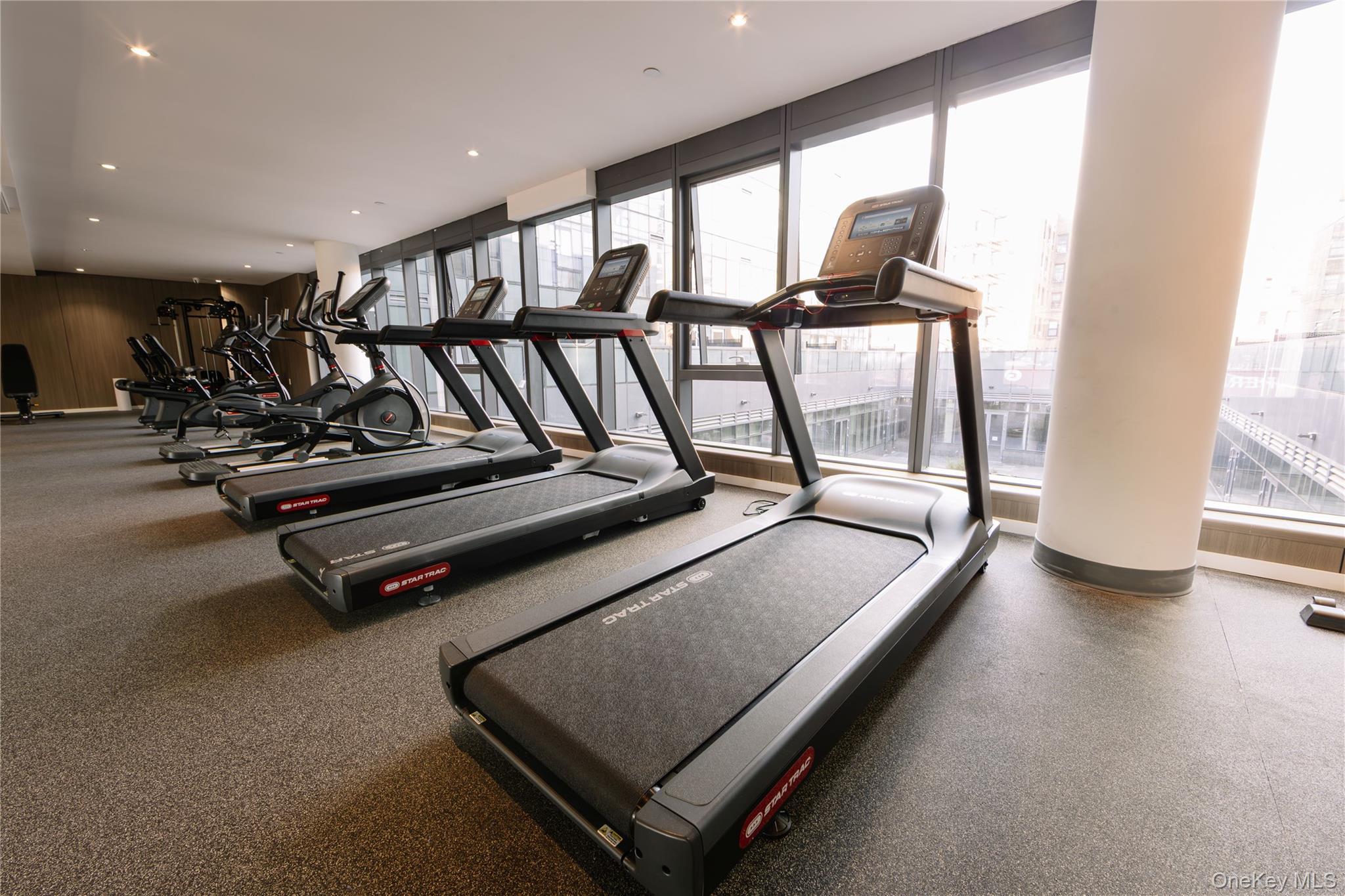 Condo Northern  Queens, NY 11354, MLS-958658-9