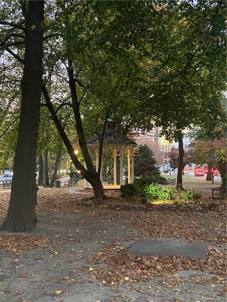 Coop Broadway  Westchester County, NY 10601, MLS-958795-21