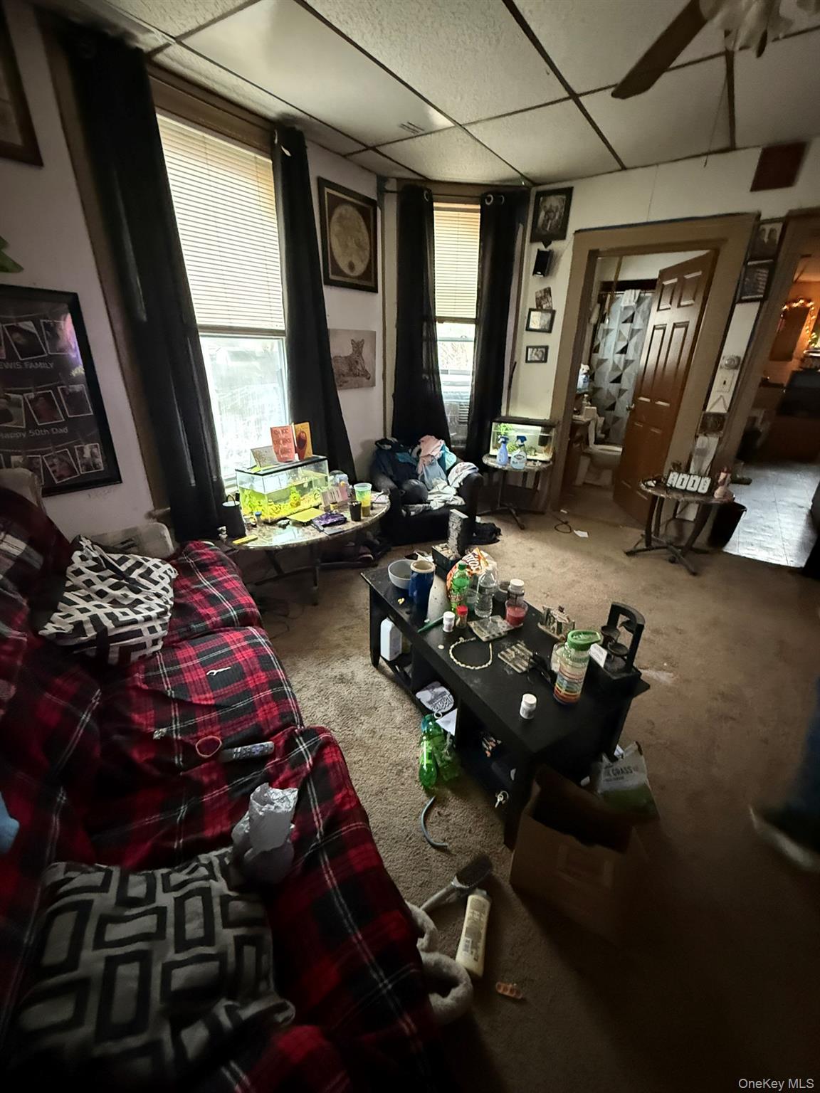 Single Family Main Orange County, NY 12771, MLS-958798-3