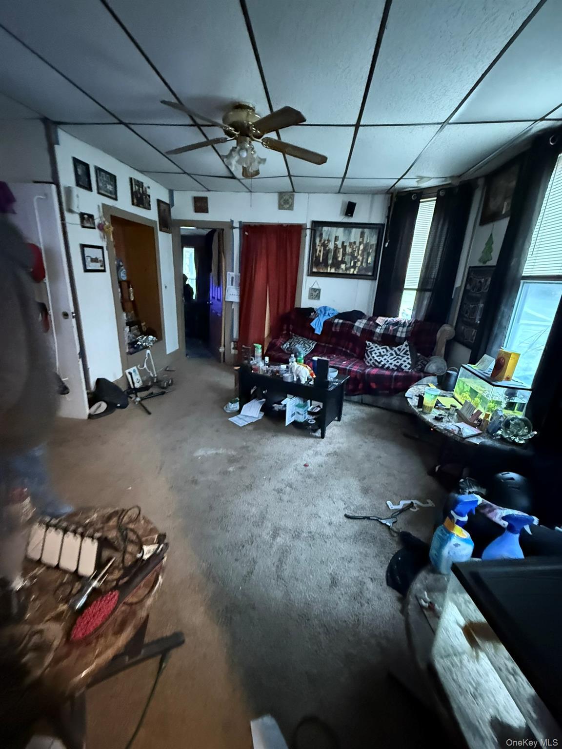 Single Family Main Orange County, NY 12771, MLS-958798-5