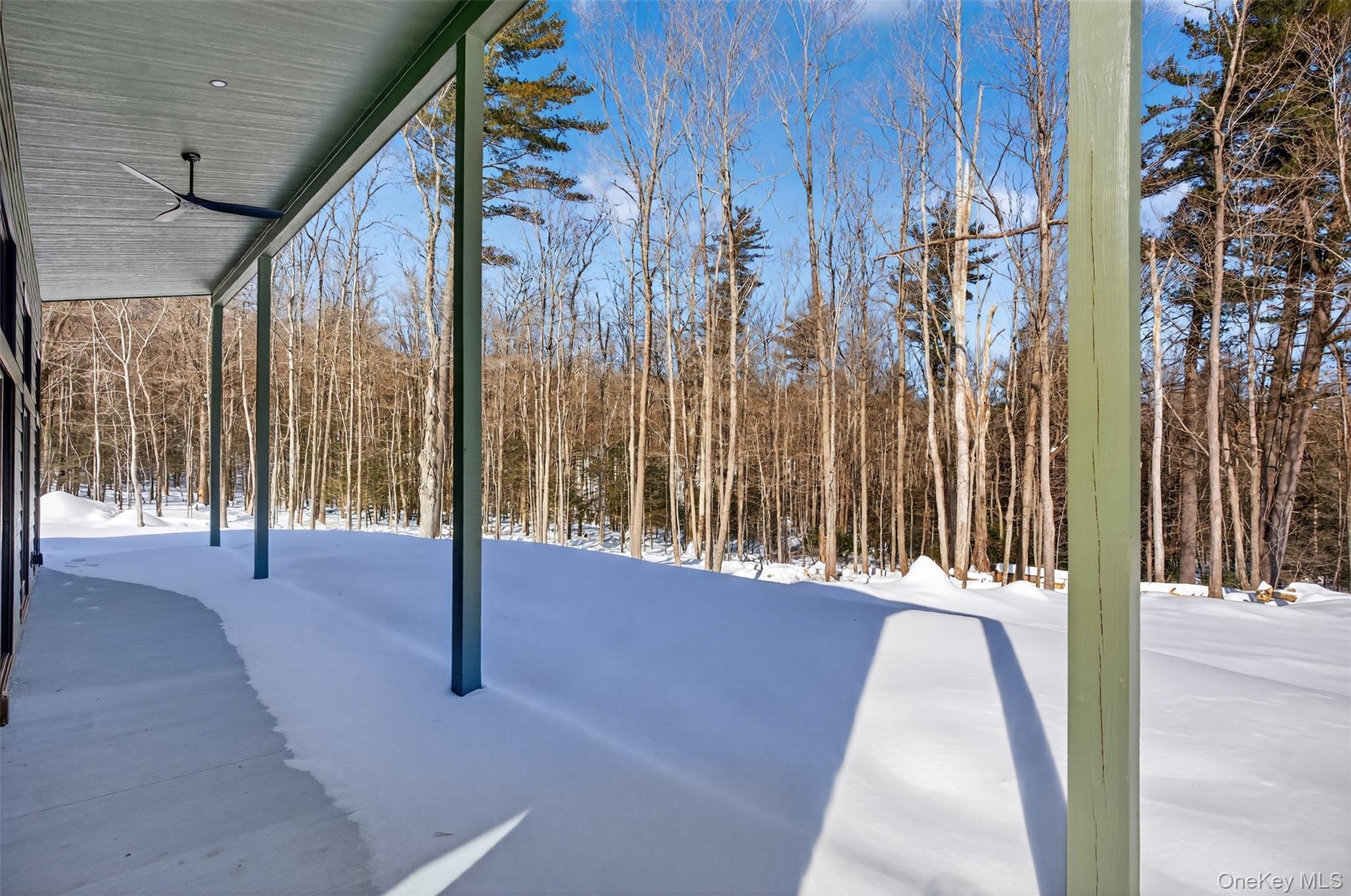 Single Family High Point Mountain Ulster County, NY 12461, MLS-958833-23