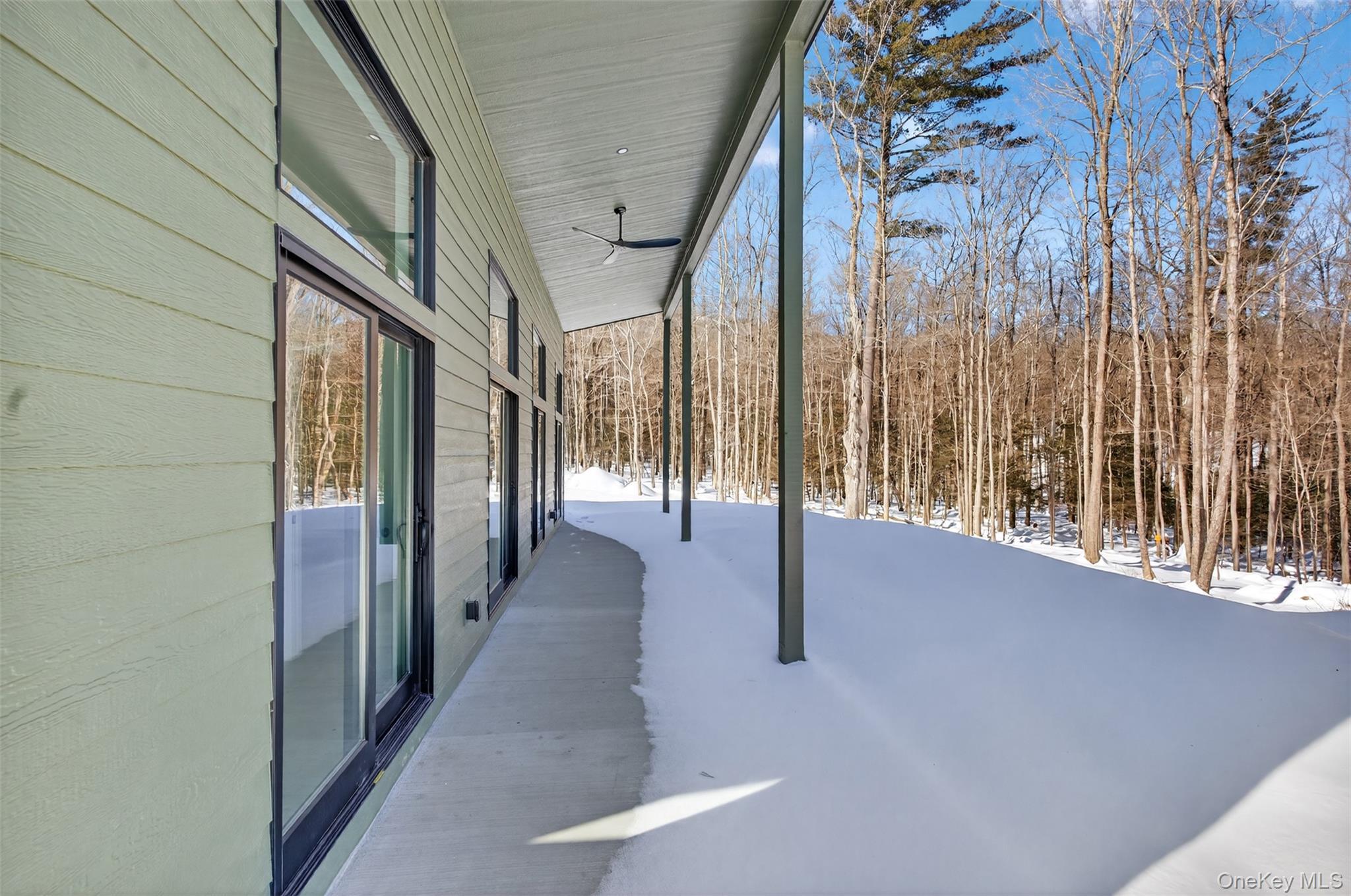 Single Family High Point Mountain Ulster County, NY 12461, MLS-958833-24