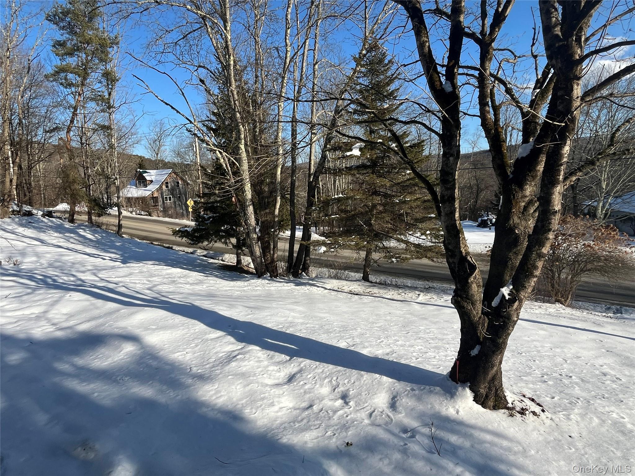 Single Family Debruce  Sullivan County, NY 12758, MLS-958929-23