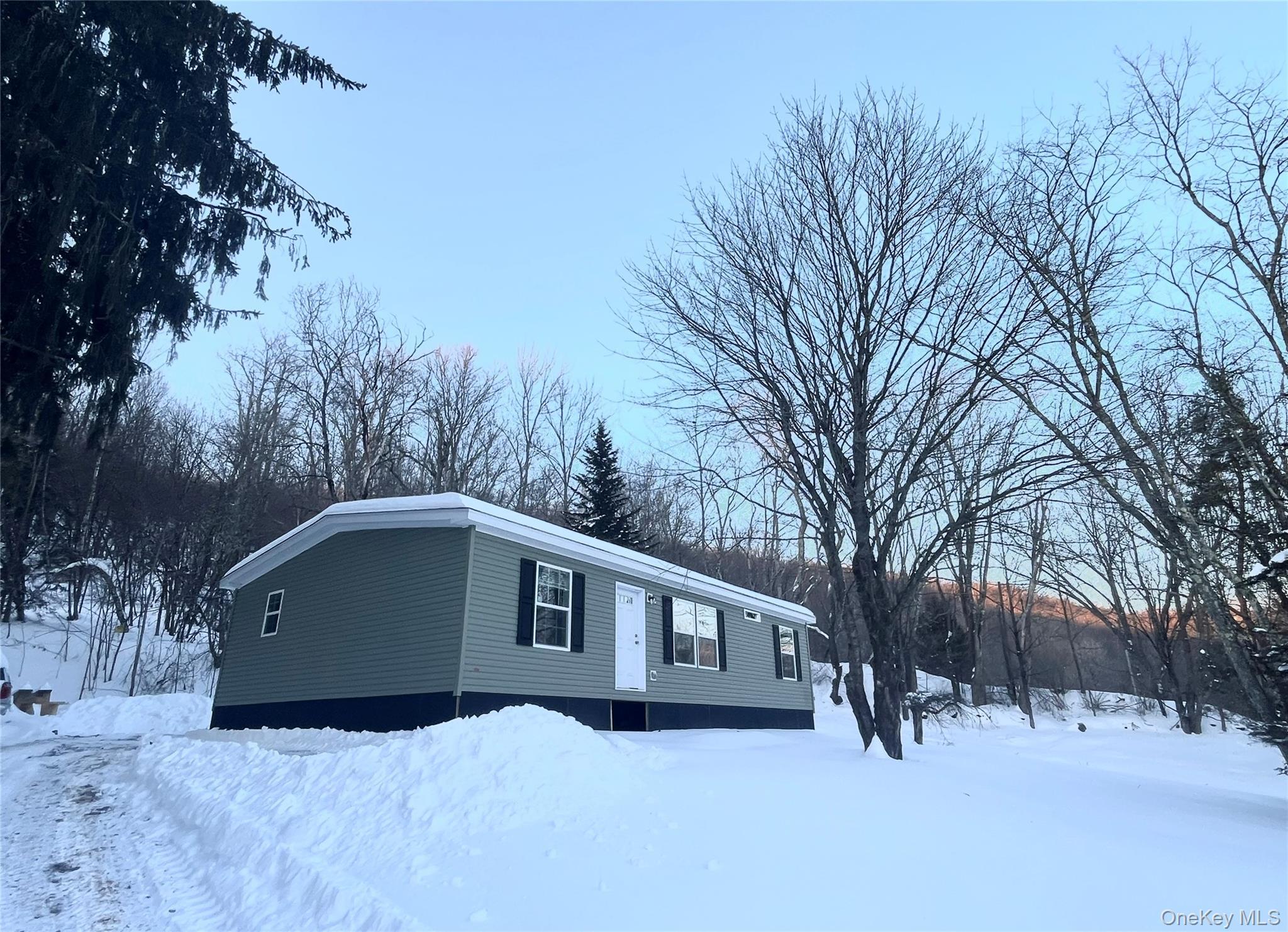 Single Family Debruce  Sullivan County, NY 12758, MLS-958929-30