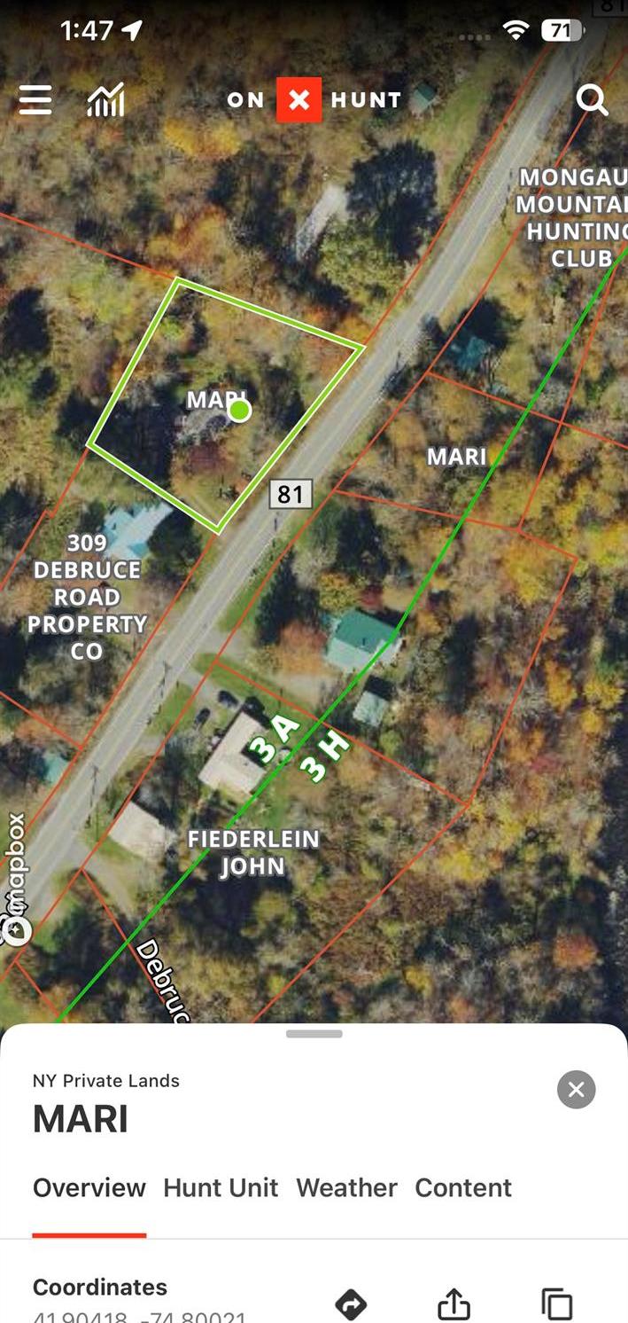 Single Family Debruce Road Sullivan County, NY 12758, MLS-958929-35