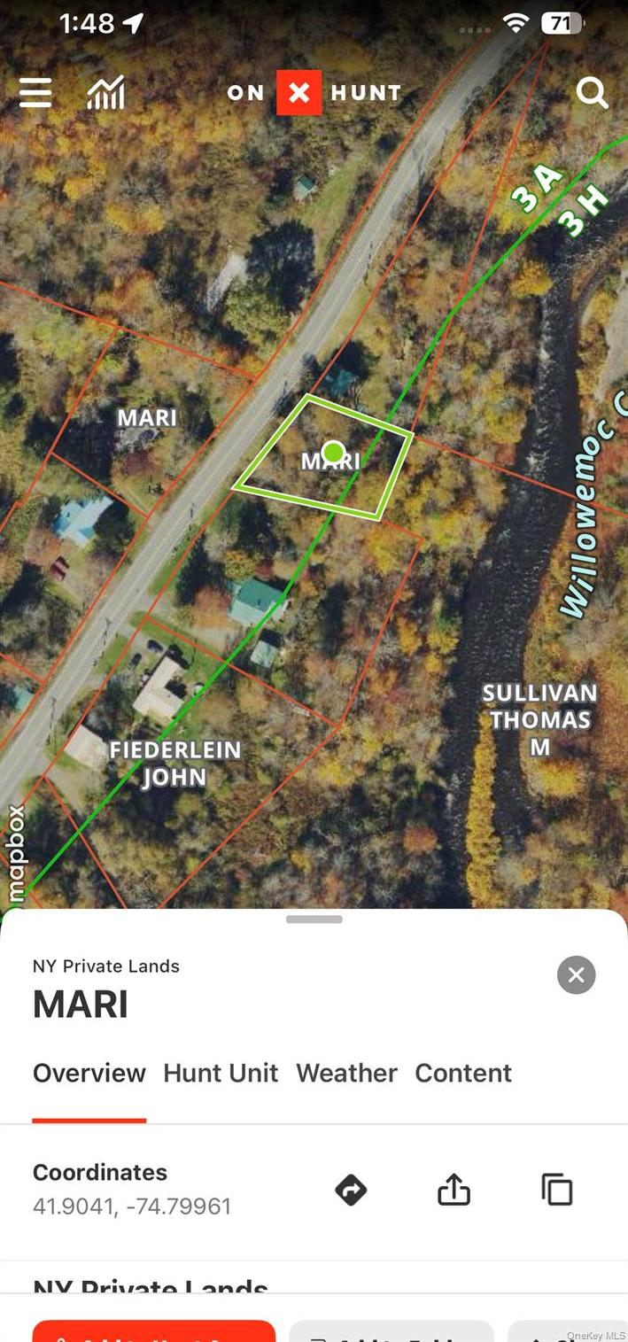 Single Family Debruce Road Sullivan County, NY 12758, MLS-958929-36