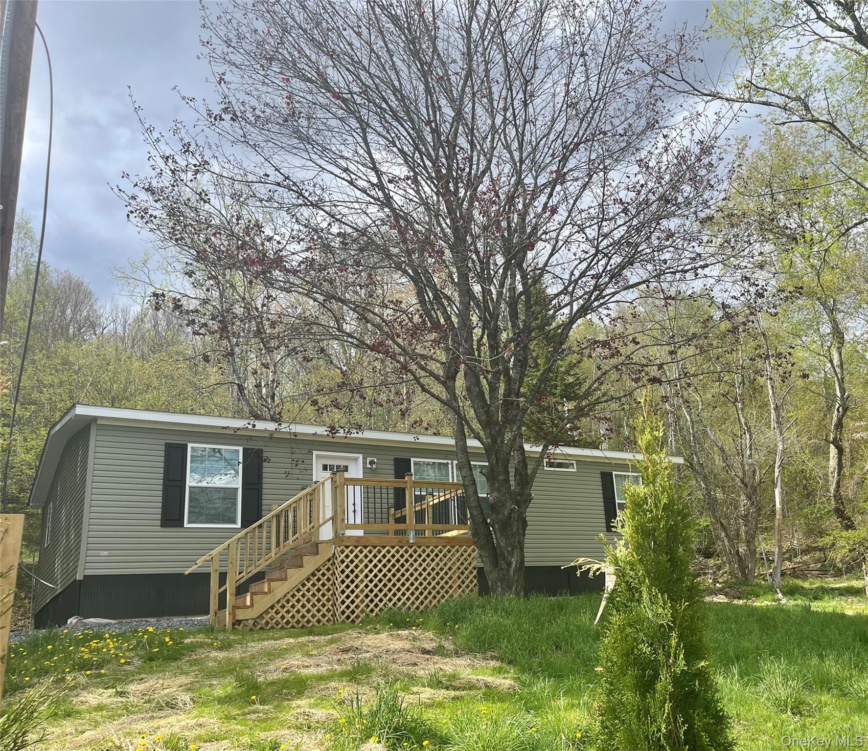 Single Family Debruce Road  Sullivan County, NY 12758, MLS-958929-39