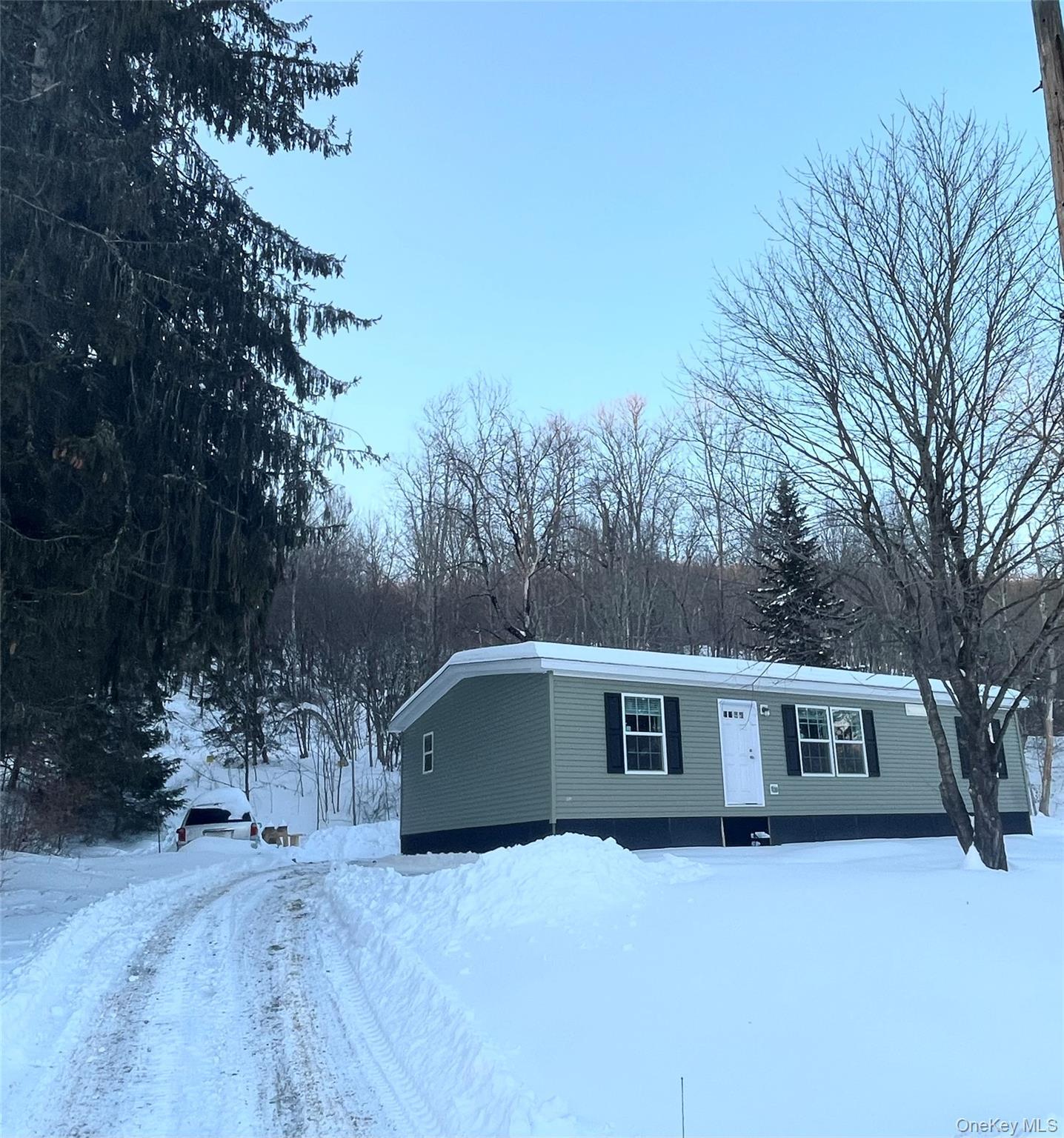 Single Family Debruce  Sullivan County, NY 12758, MLS-958929-4