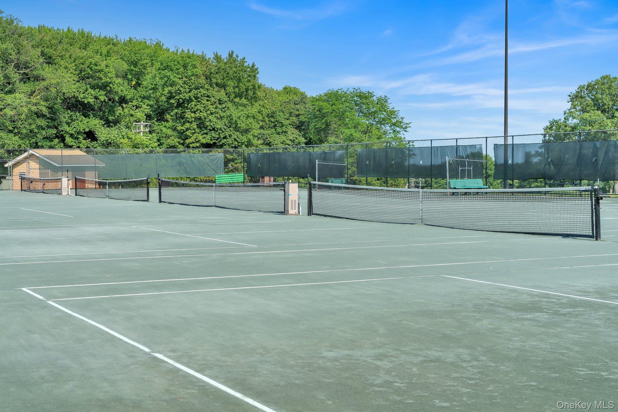 Coop Grand Central  Queens, NY 11005, MLS-958937-25