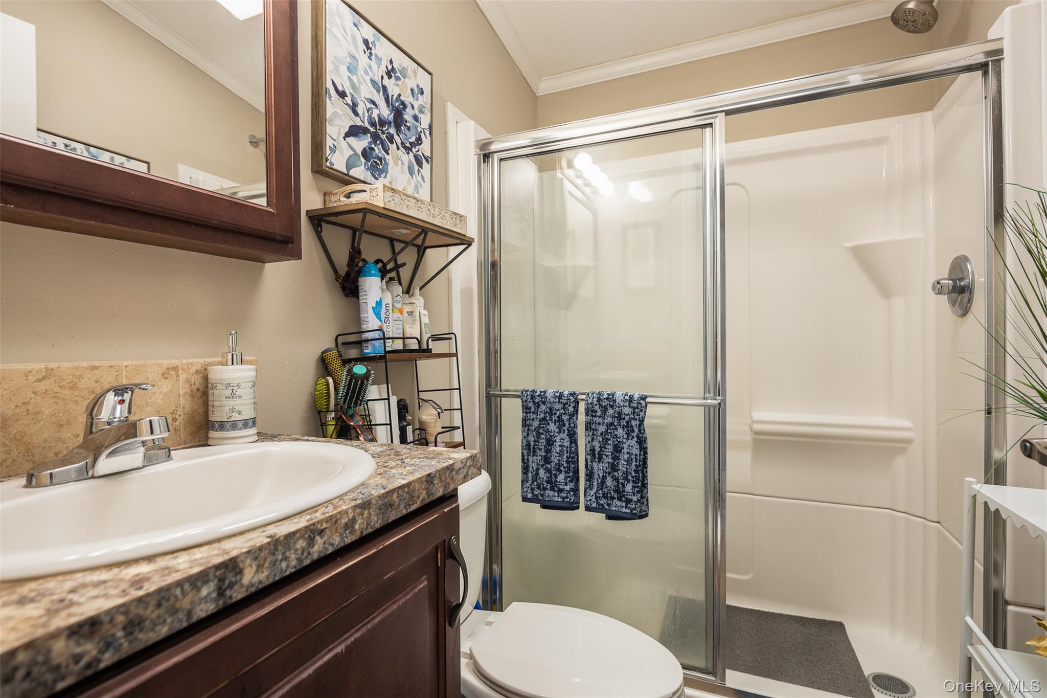 Single Family Old Country  Suffolk County, NY 11901, MLS-958982-8