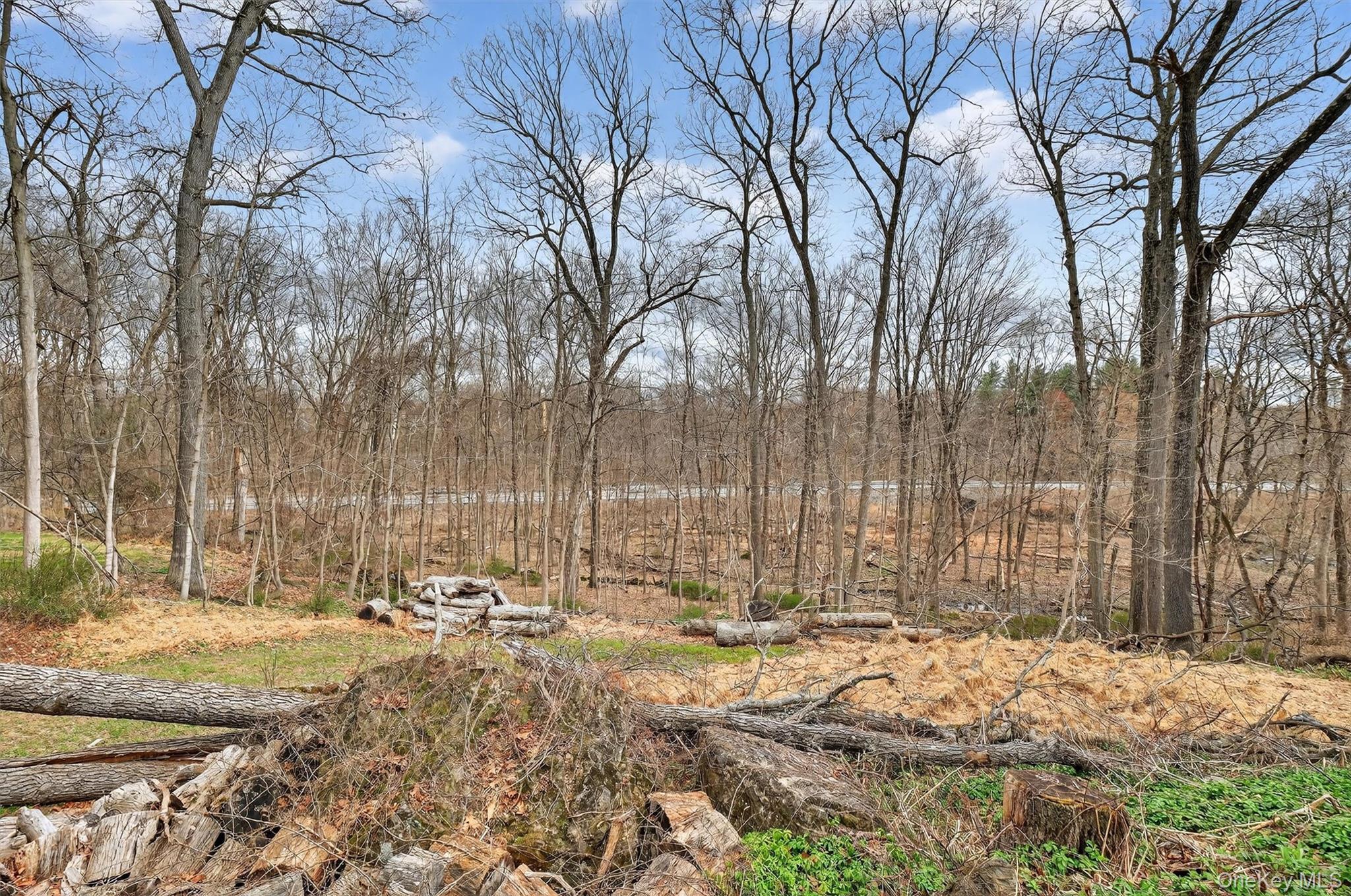 Single Family Pellbridge Drive  Dutchess County, NY 12533, MLS-959005-39