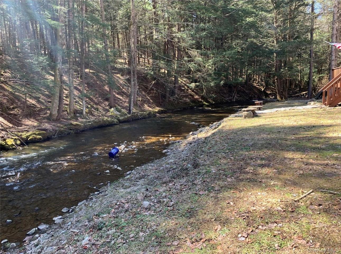 Single Family Basket  Sullivan County, NY 12760, MLS-959083-5