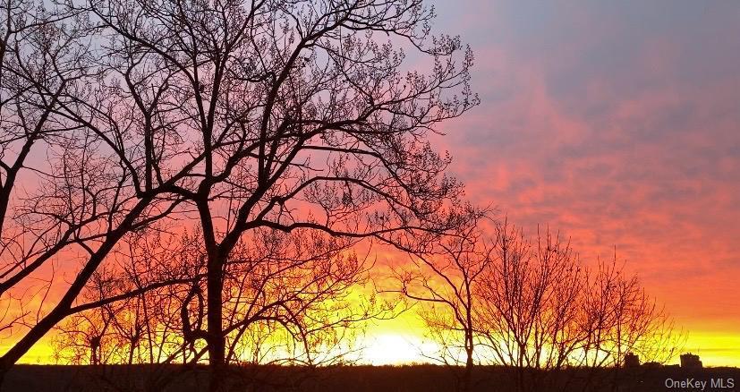 Coop Fieldston  Bronx, NY 10471, MLS-959160-21