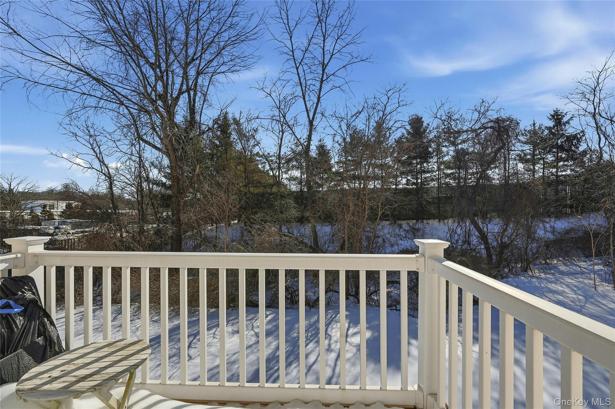 Condo Morley  Suffolk County, NY 11747, MLS-959161-21