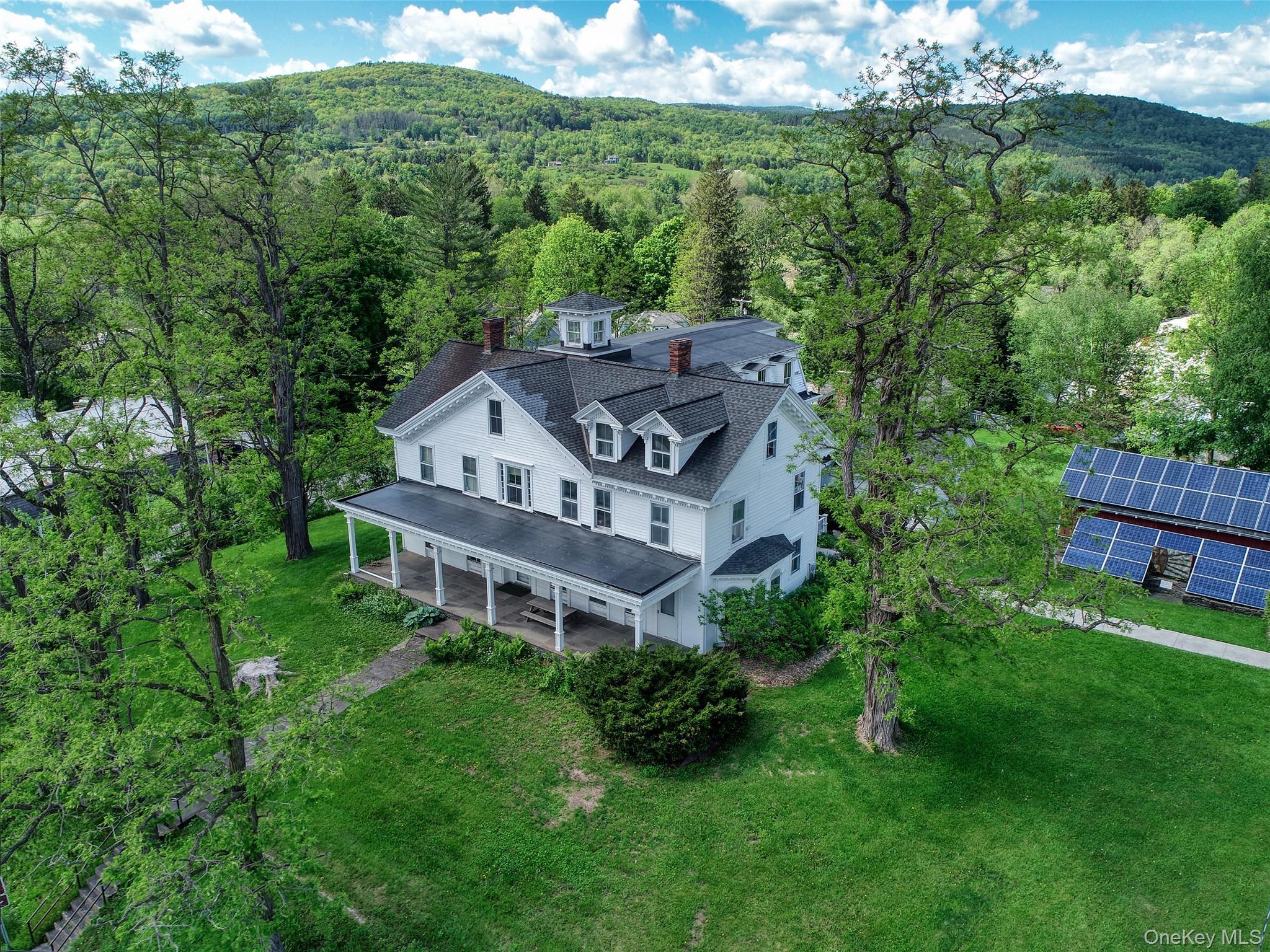 Single Family State Route 28  Delaware County, NY 12406, MLS-959162-2