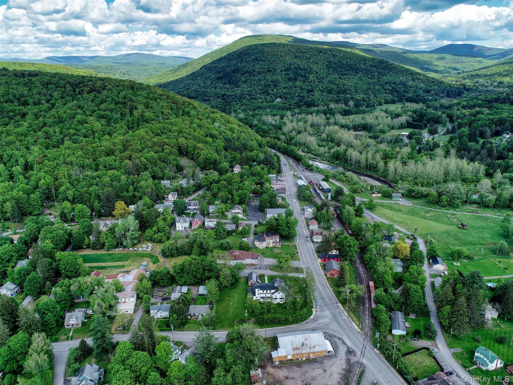 Single Family State Route 28  Delaware County, NY 12406, MLS-959162-22