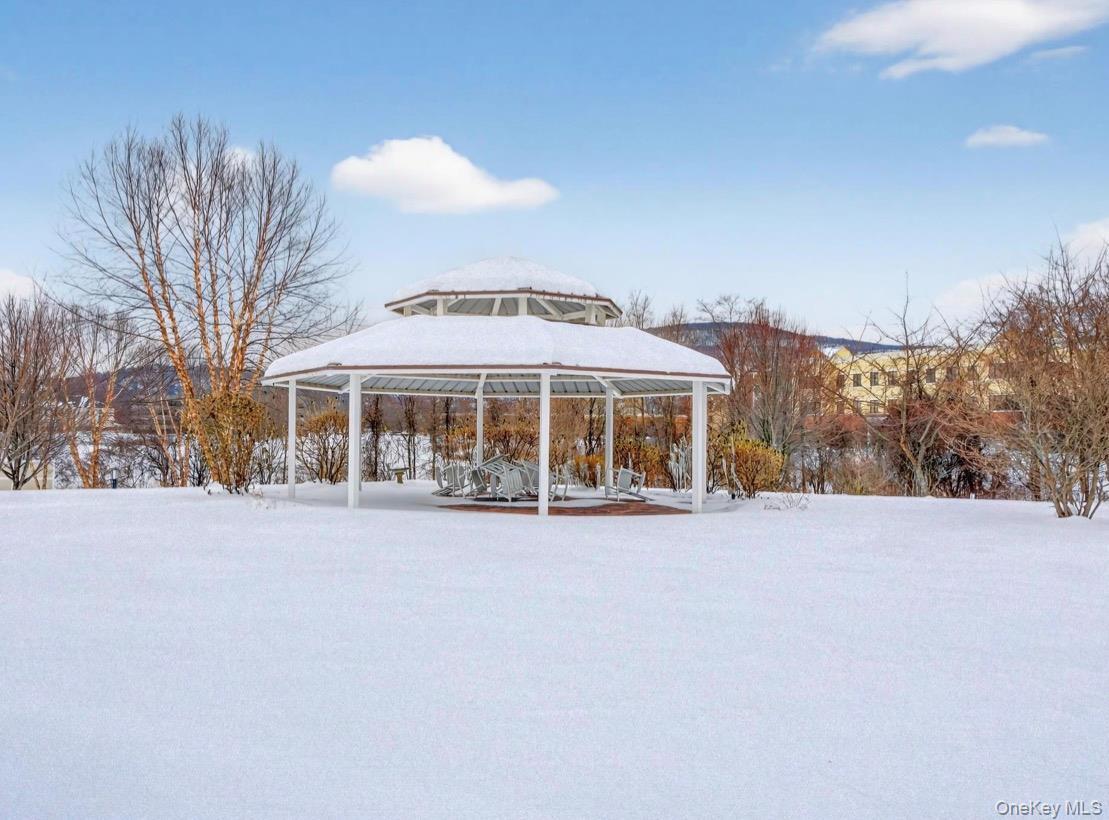 Condo Regency  Dutchess County, NY 12524, MLS-959190-3