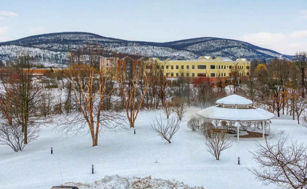 Condo Regency  Dutchess County, NY 12524, MLS-959190-5