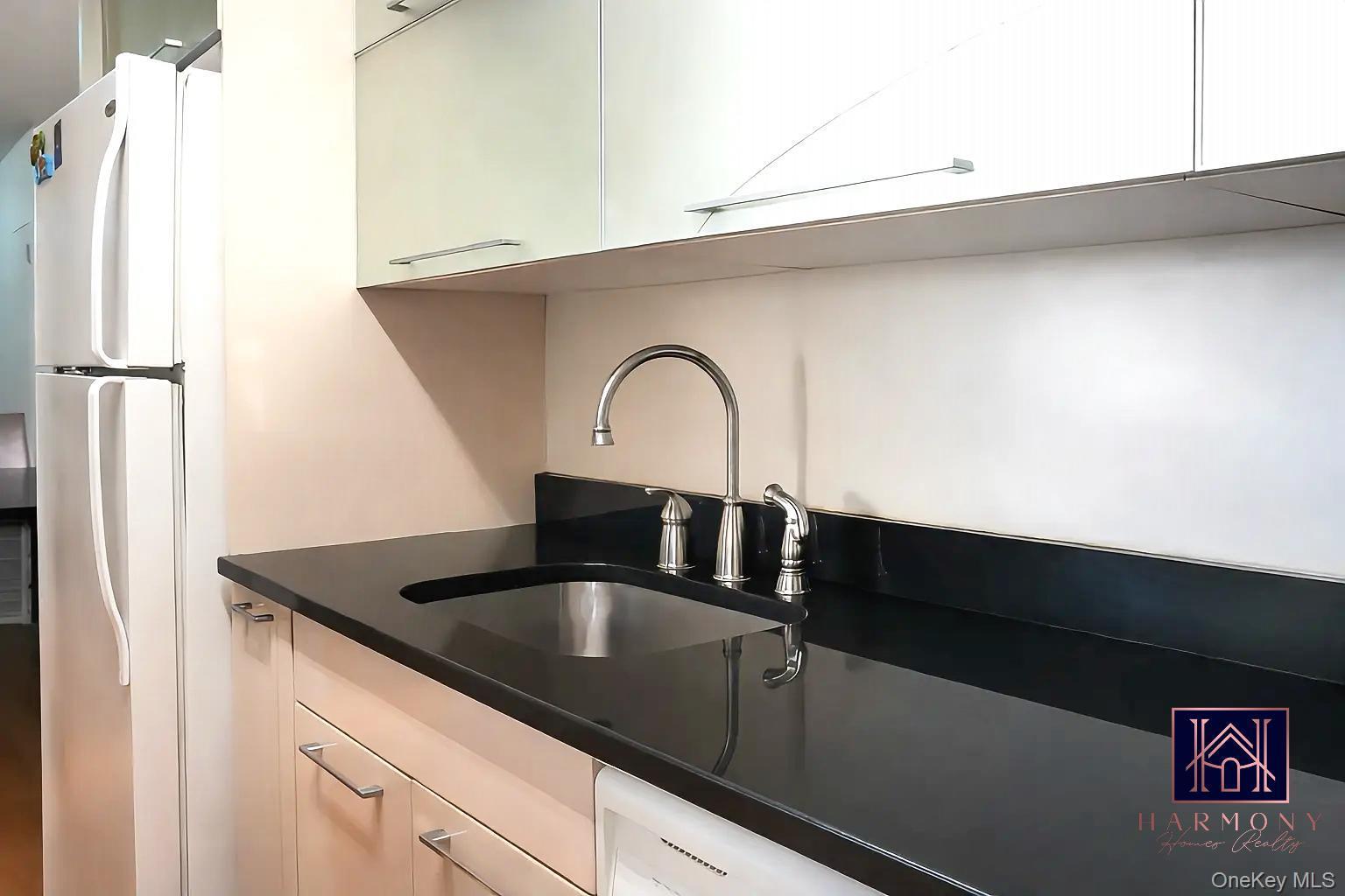 Condo Vermont Street  Brooklyn, NY 11207, MLS-959359-12