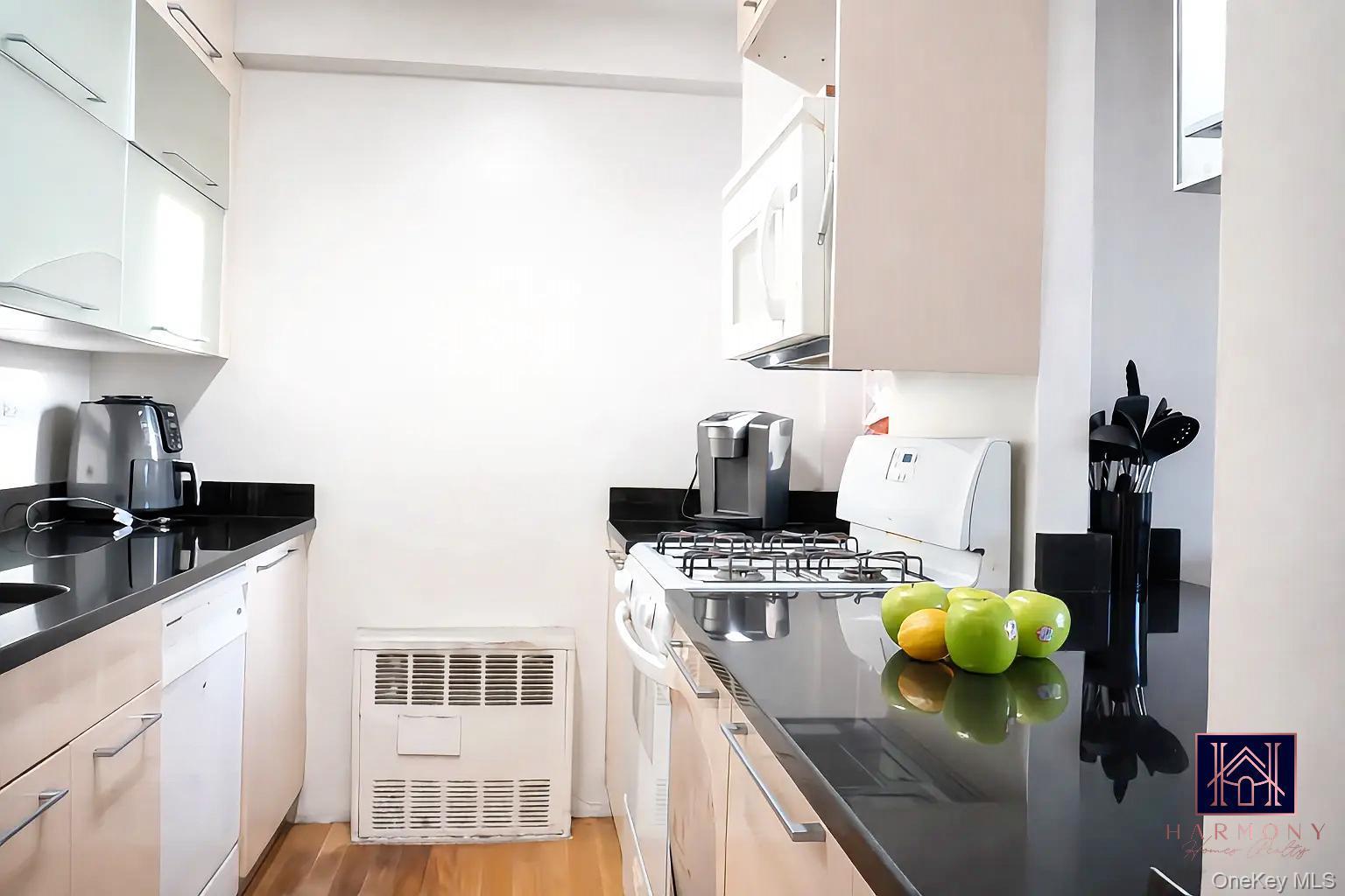 Condo Vermont Street  Brooklyn, NY 11207, MLS-959359-13