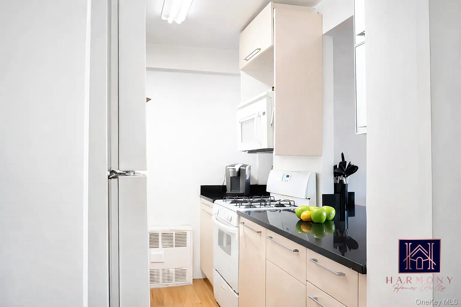 Condo Vermont Street  Brooklyn, NY 11207, MLS-959359-6