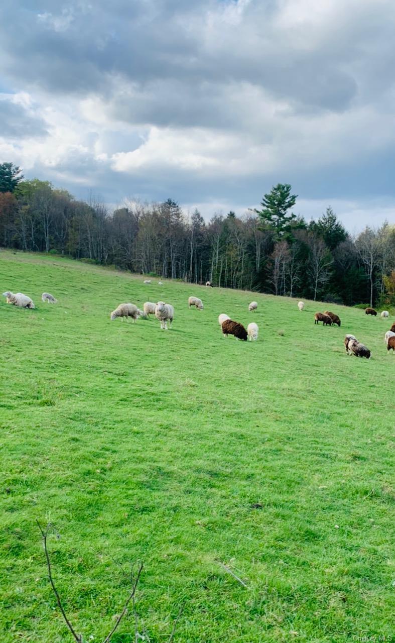 Single Family Burr  Sullivan County, NY 12726, MLS-959406-10