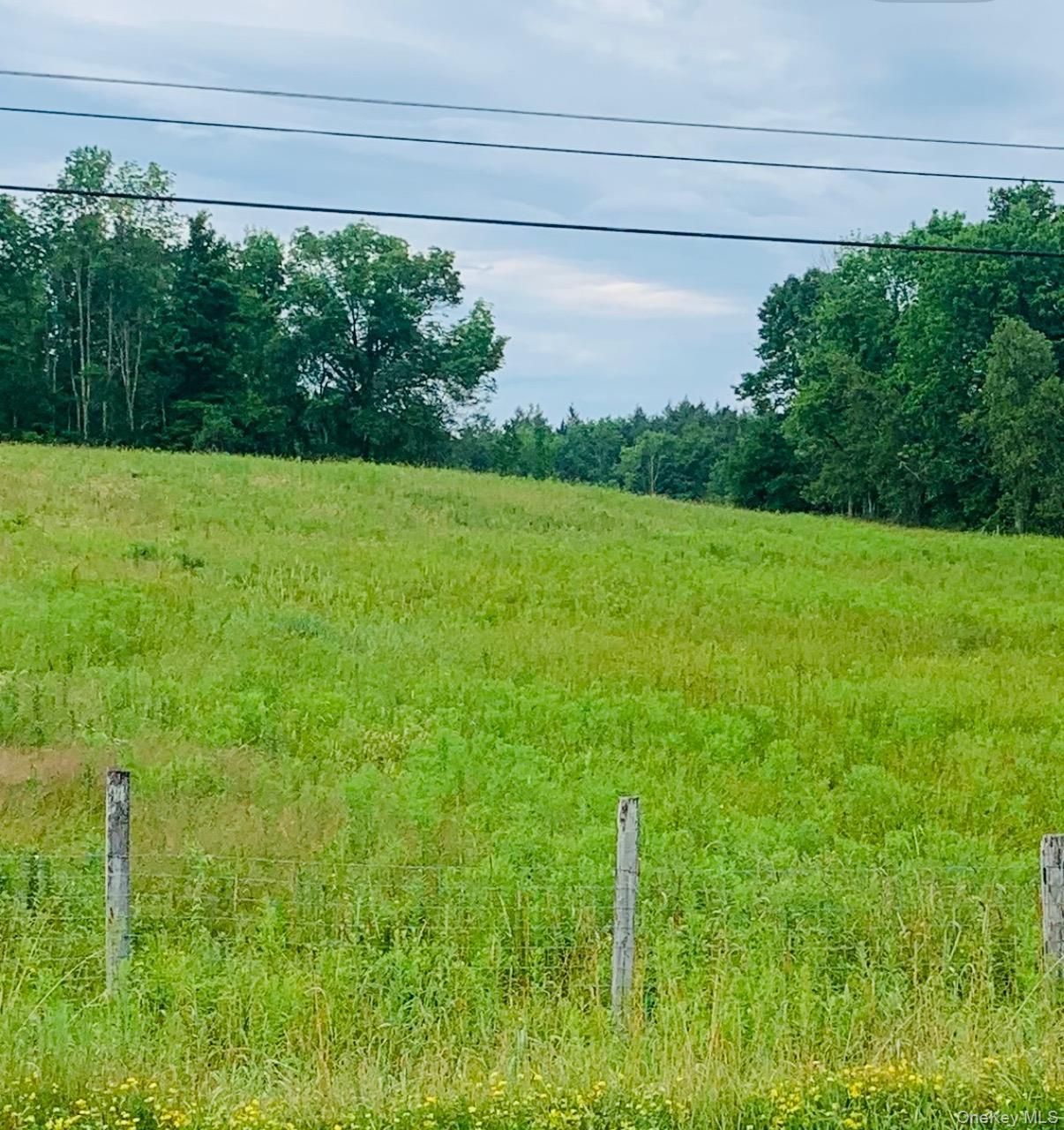 Single Family Burr  Sullivan County, NY 12726, MLS-959406-14