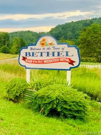 Single Family Burr  Sullivan County, NY 12726, MLS-959406-3