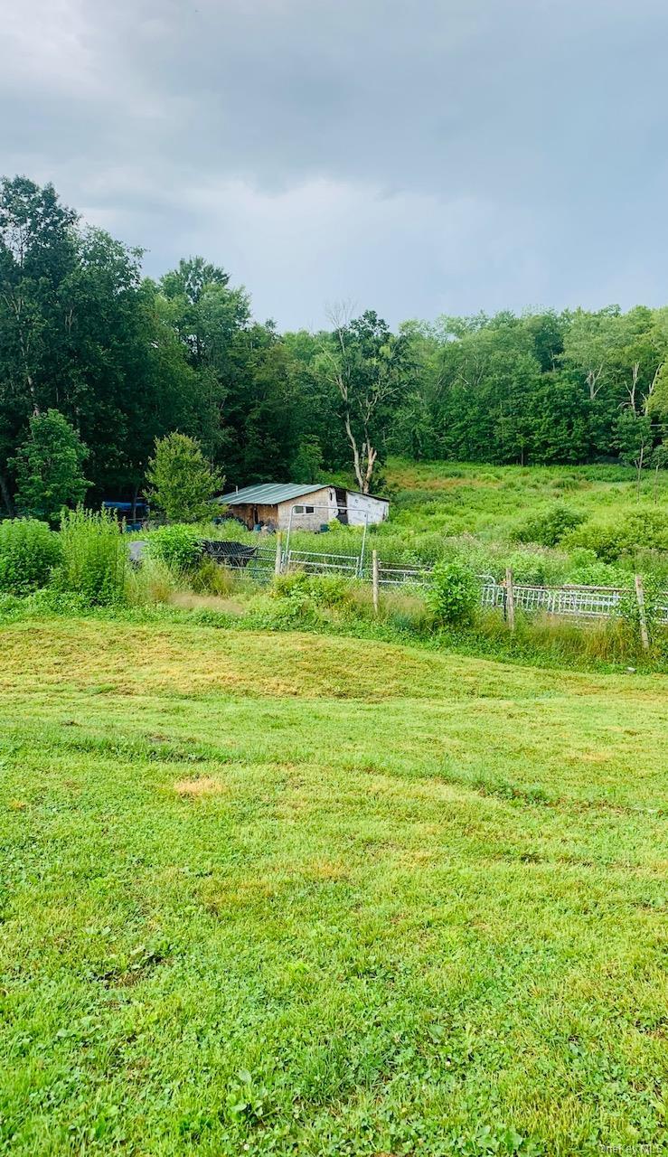 Single Family Burr  Sullivan County, NY 12726, MLS-959406-8