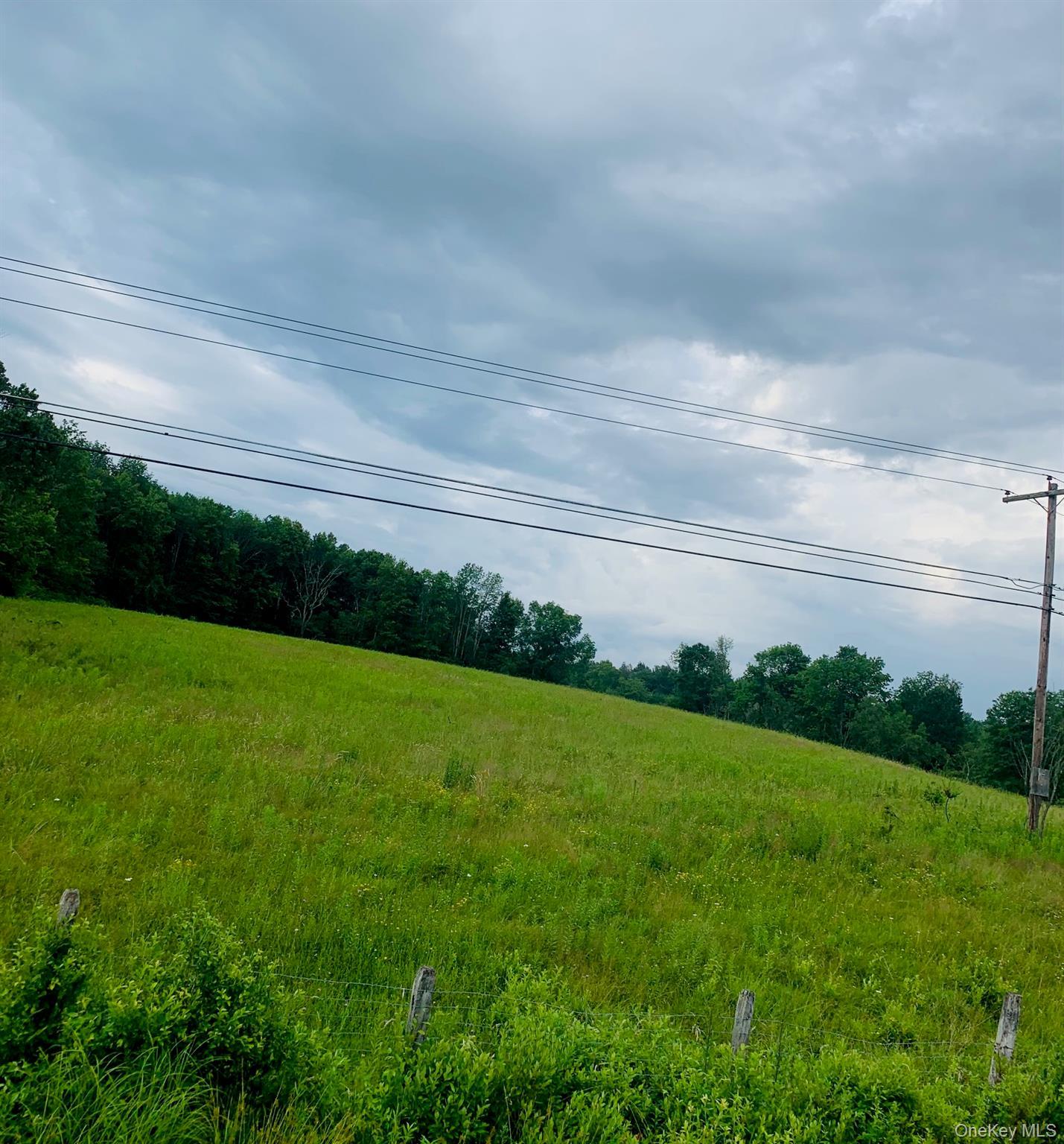 Single Family Burr  Sullivan County, NY 12726, MLS-959406-9