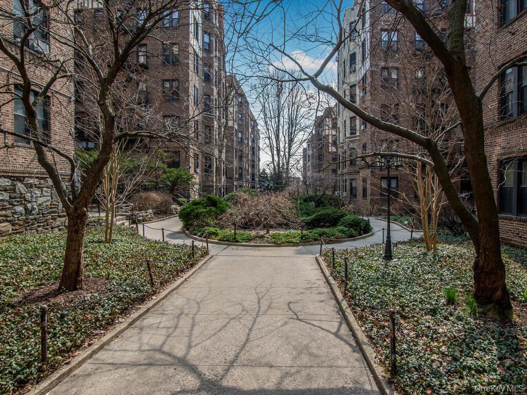 Coop Brady  Bronx, NY 10462, MLS-959417-2