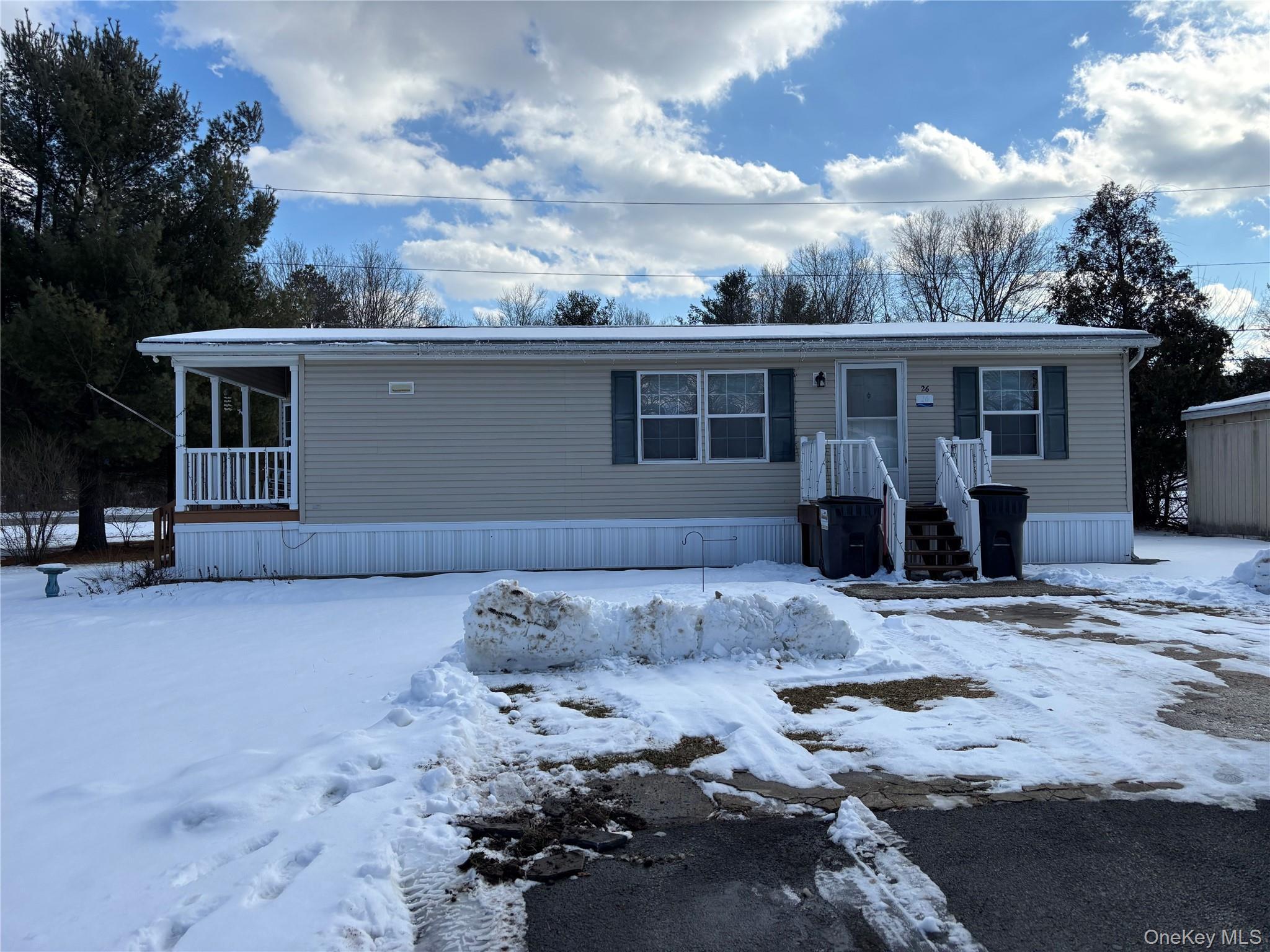Single Family Daisy  Orange County, NY 12771, MLS-959527-2