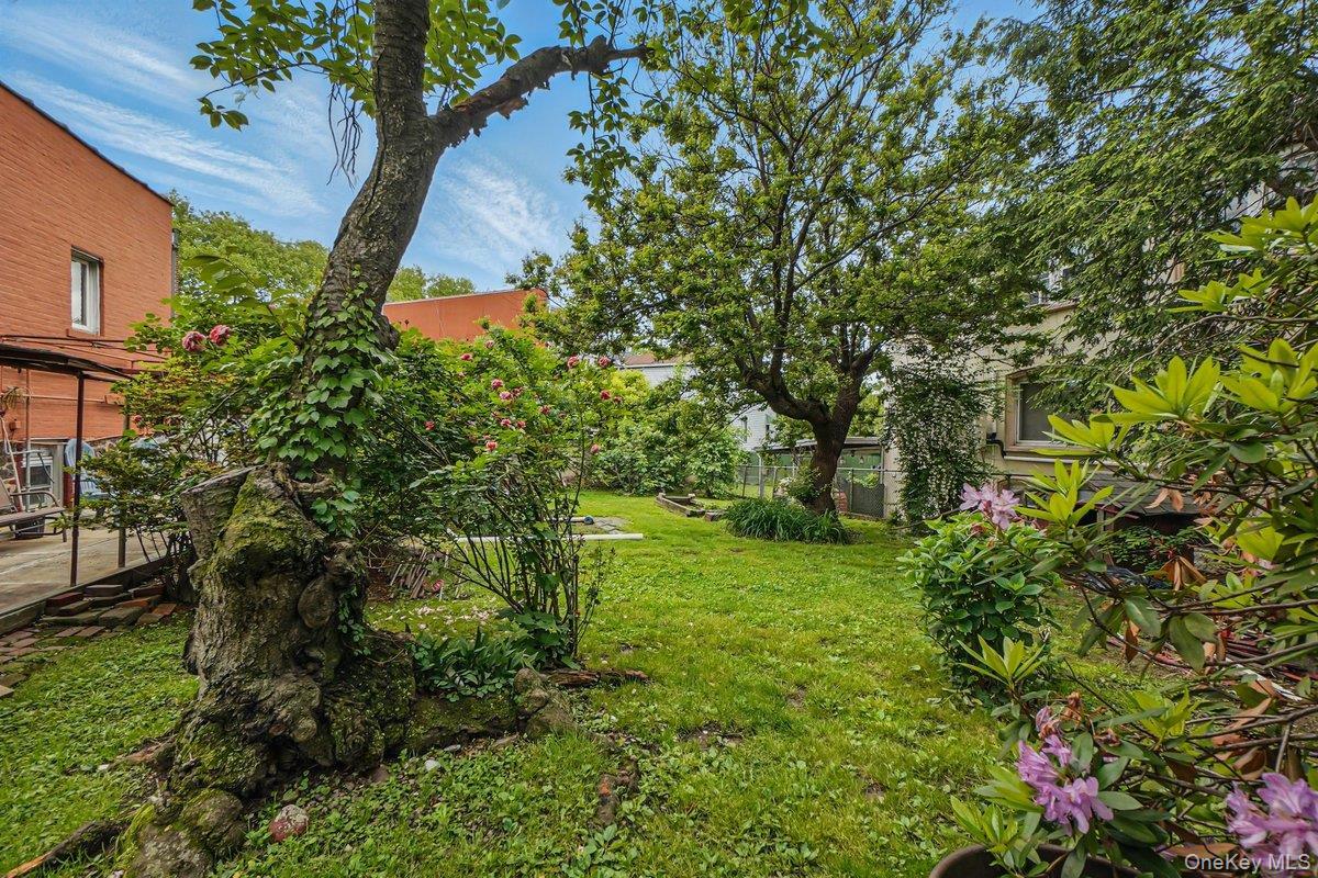 Single Family Hazen  Queens, NY 11370, MLS-959618-10