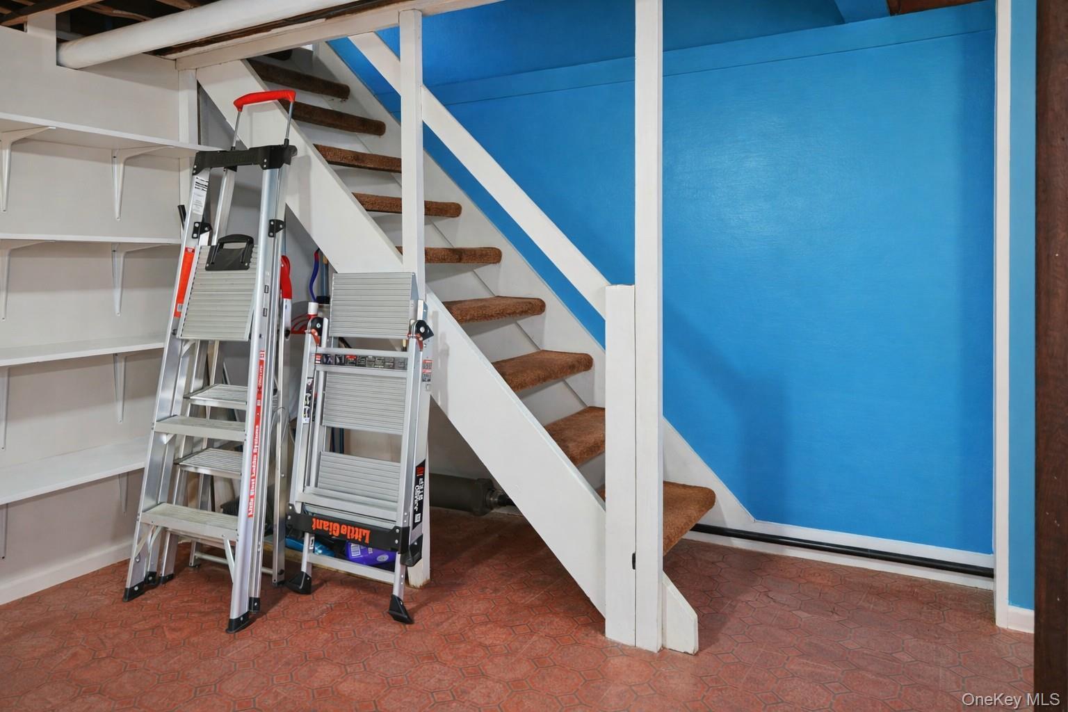 Single Family 77th  Queens, NY 11379, MLS-959704-19