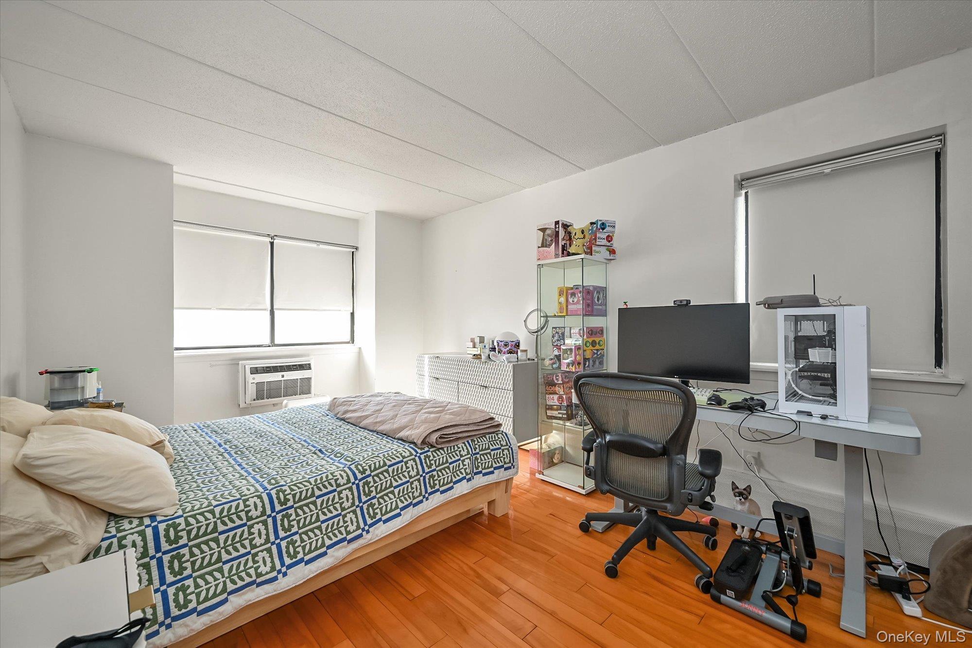 Condo Union  Queens, NY 11354, MLS-959707-12