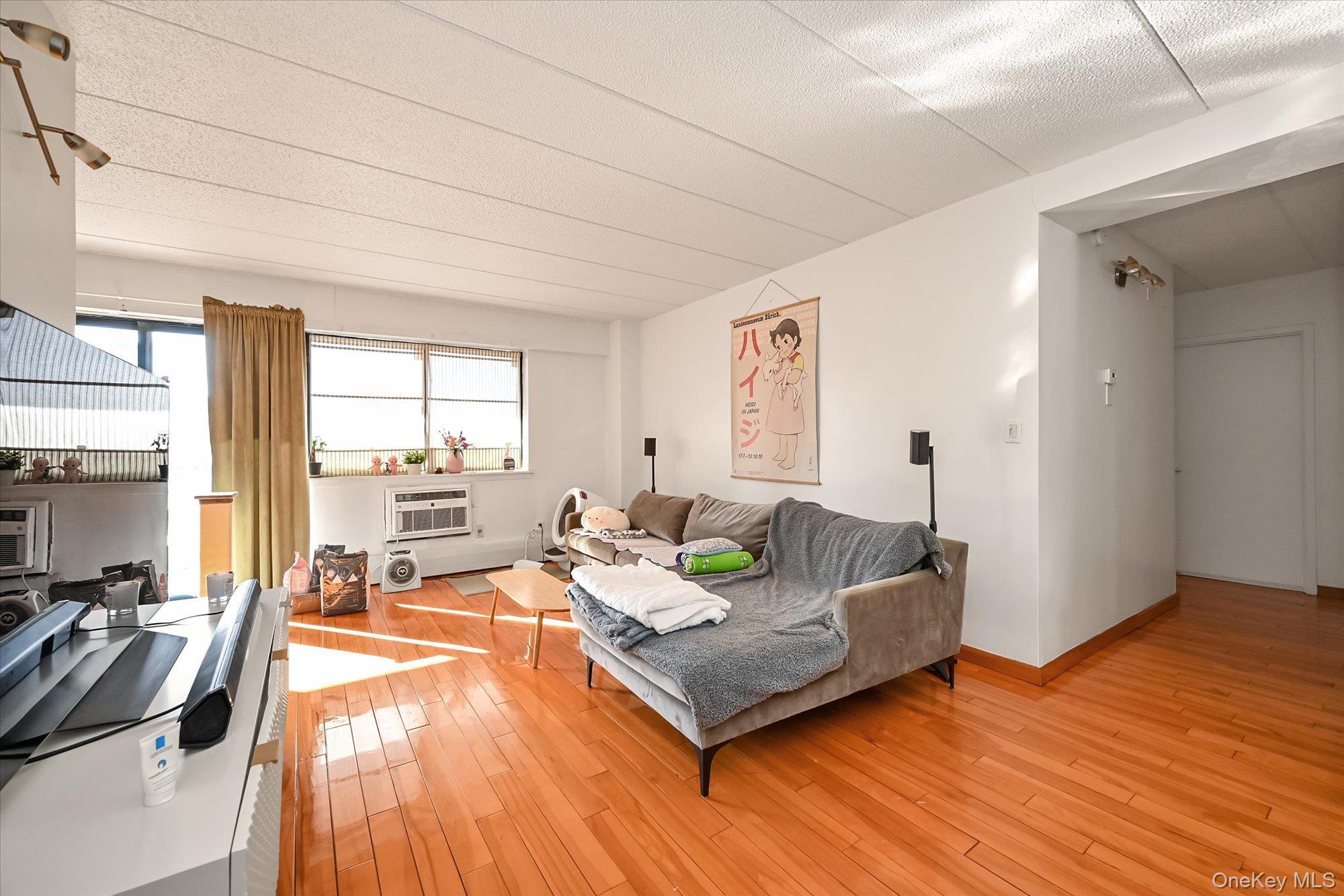 Condo Union  Queens, NY 11354, MLS-959707-3