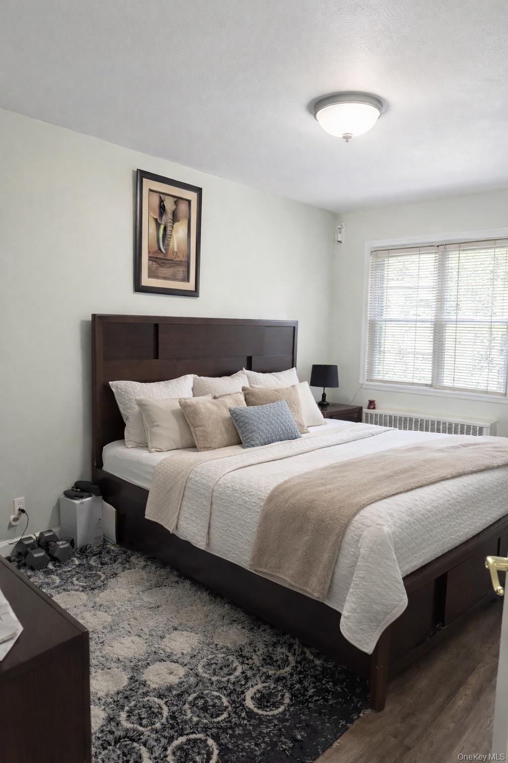 Single Family 100th  Brooklyn, NY 11236, MLS-959742-5