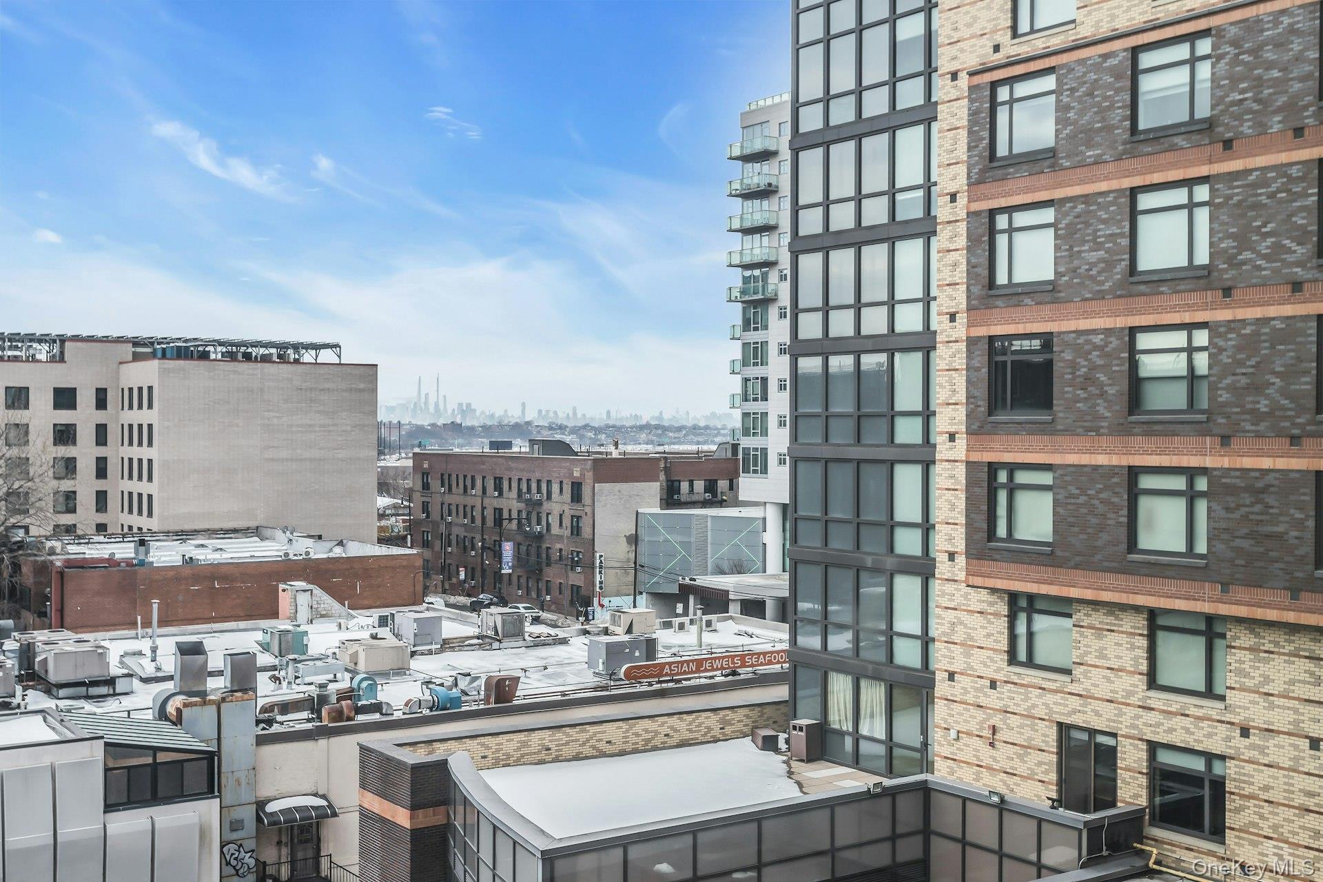 Condo Prince  Queens, NY 11354, MLS-959856-24