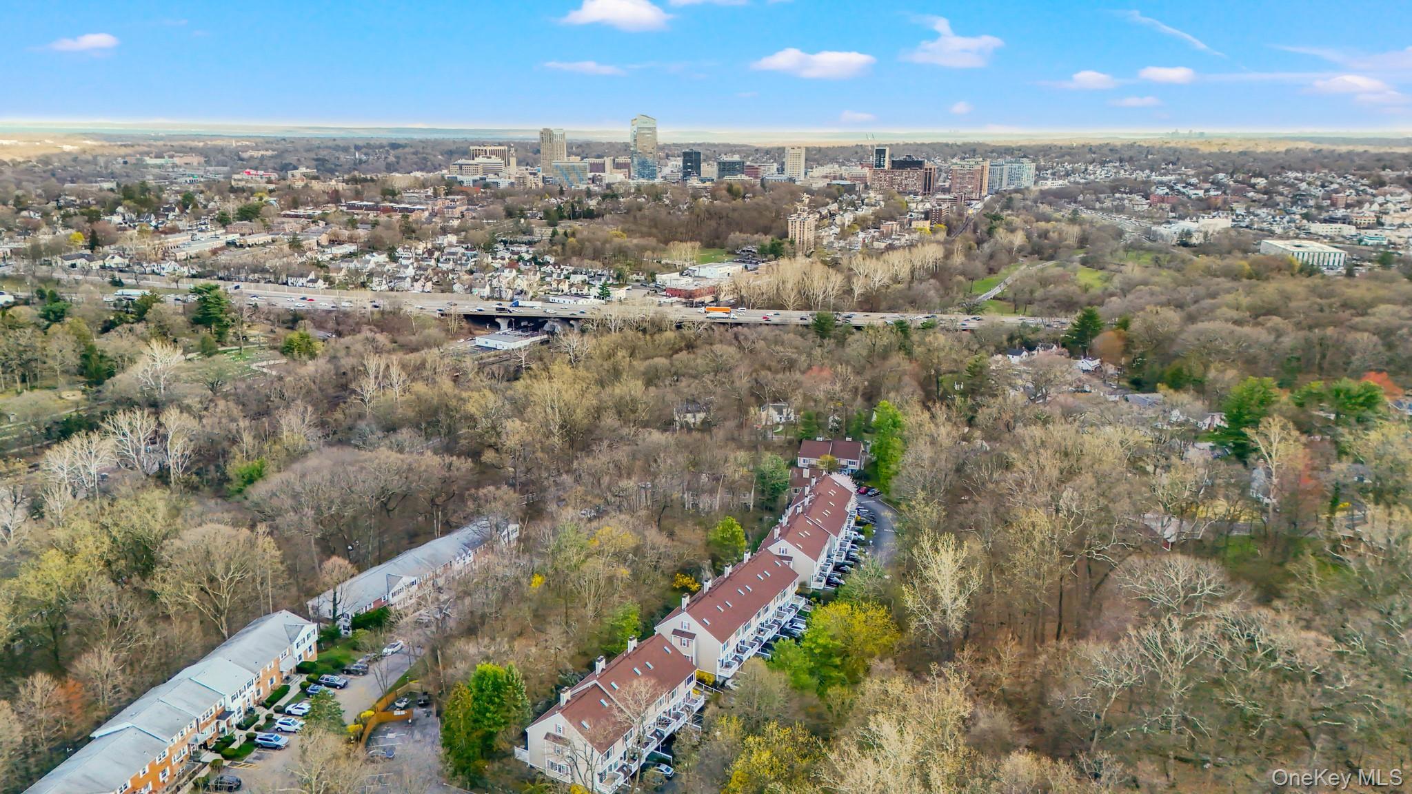 Condo Park Ridge  Westchester County, NY 10603, MLS-959874-23