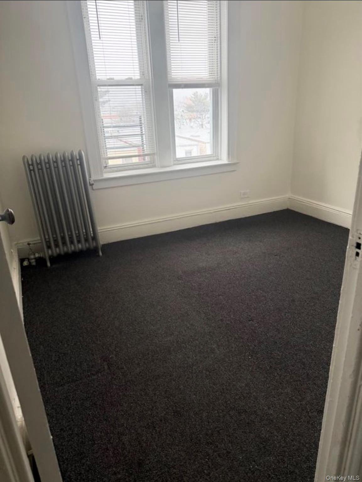 Apartment 88th Queens, NY 11421, MLS-959970-3