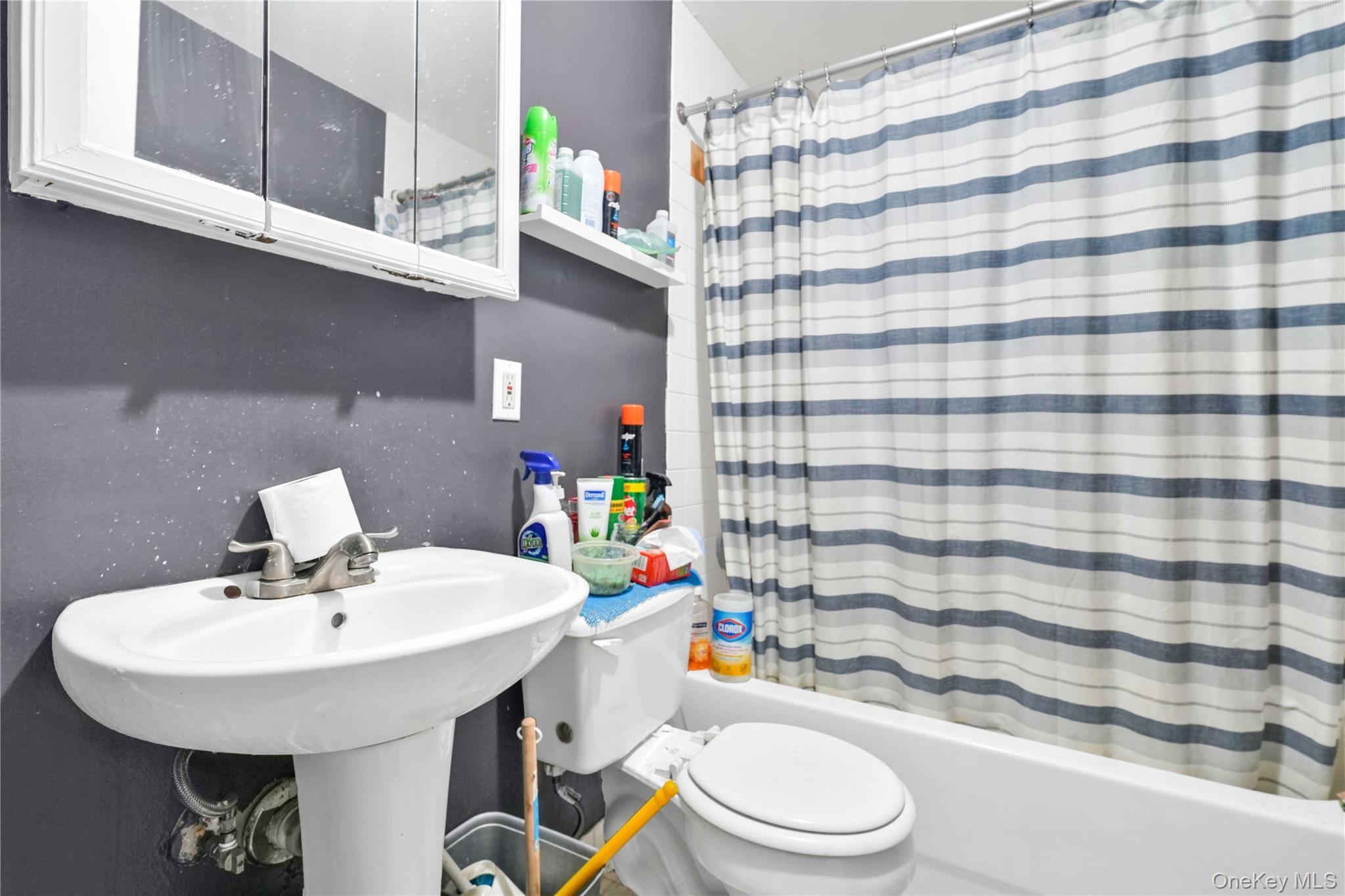 Single Family 10th Queens, NY 11106, MLS-959994-8