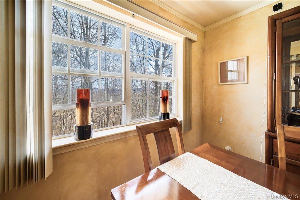 Single Family Emory  Orange County, NY 10930, MLS-960068-11